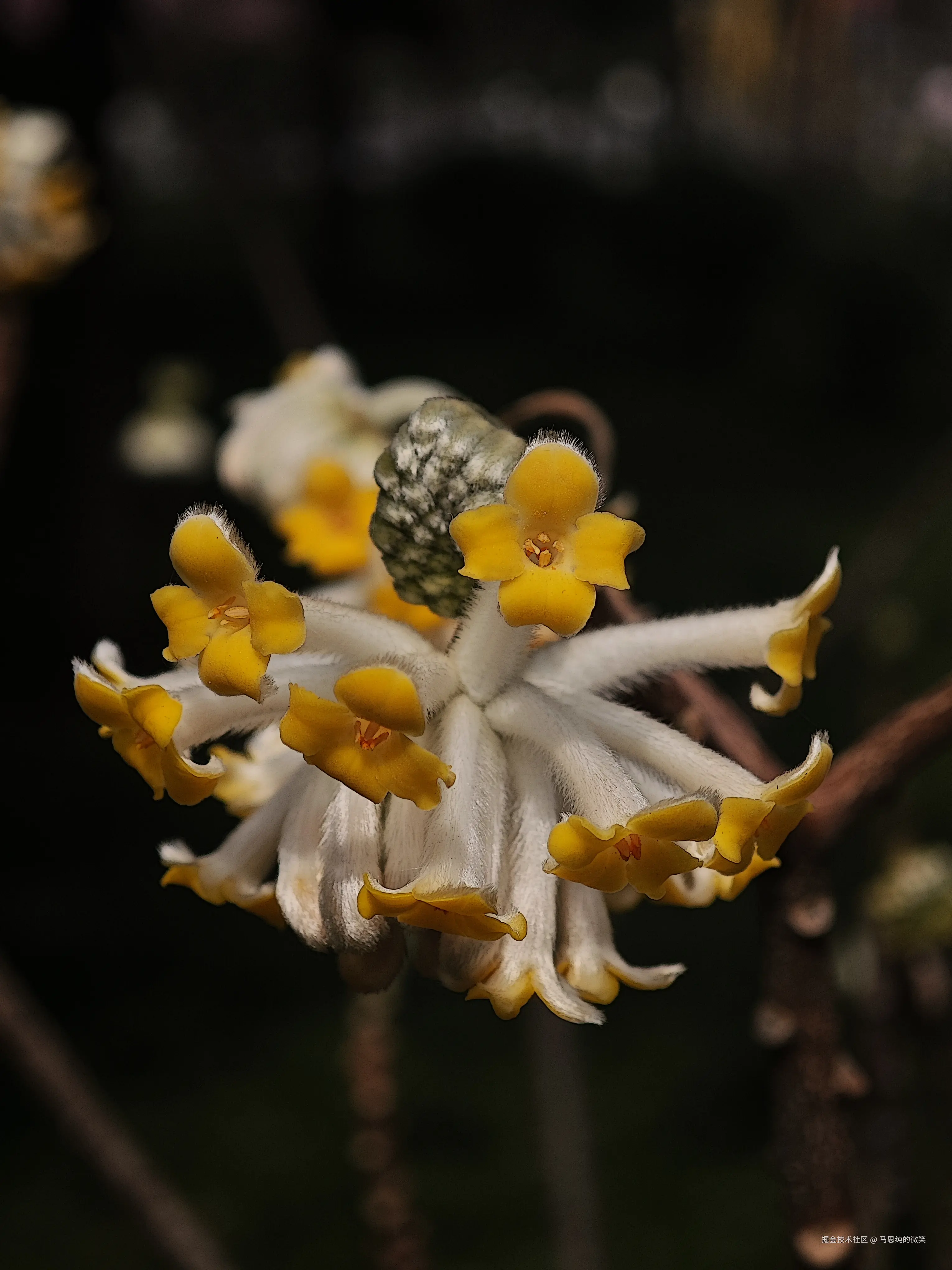 马思纯的微笑于2025-03-13 13:33发布的图片