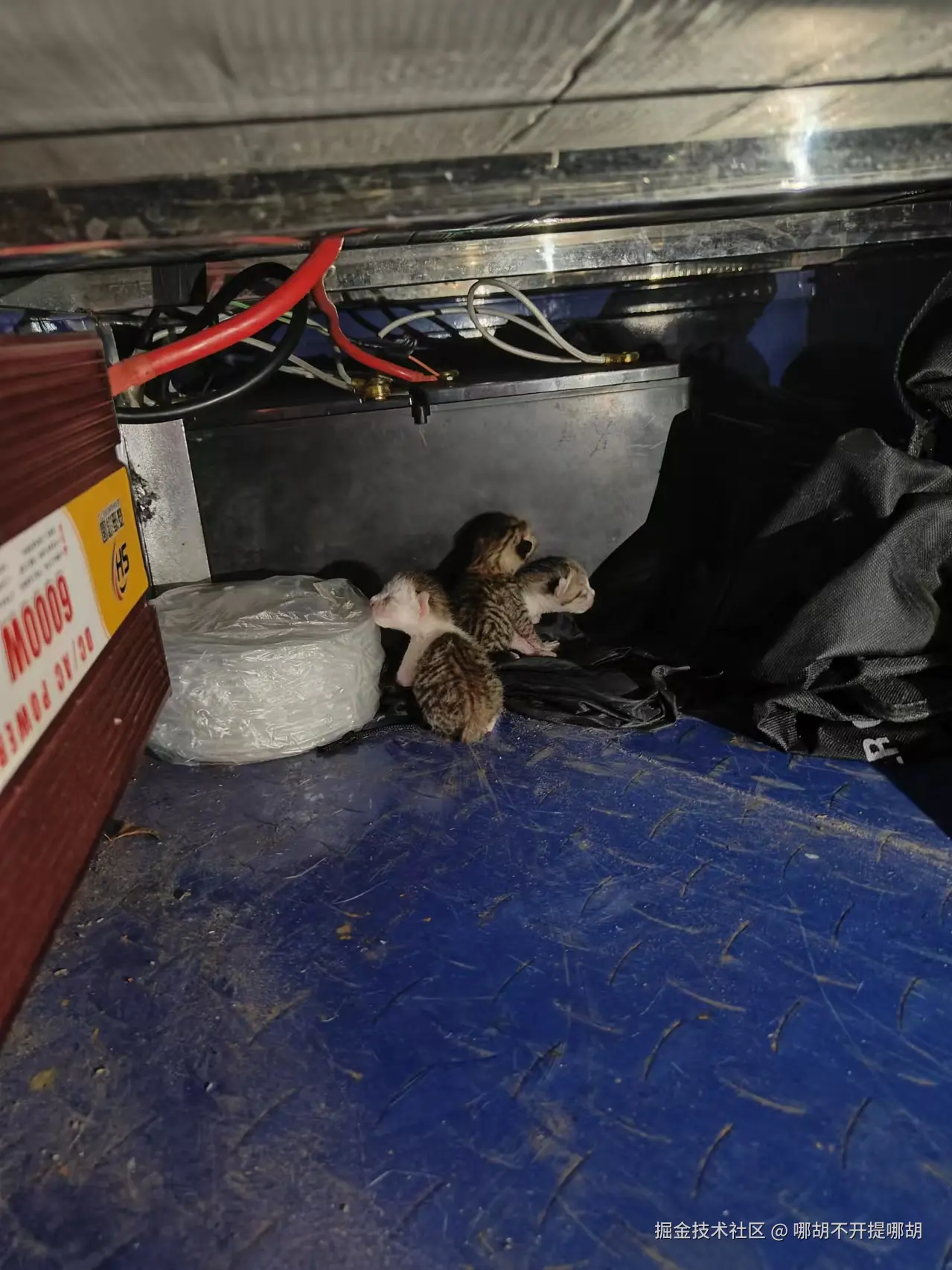 哪胡不开提哪胡于2024-11-01 09:07发布的图片