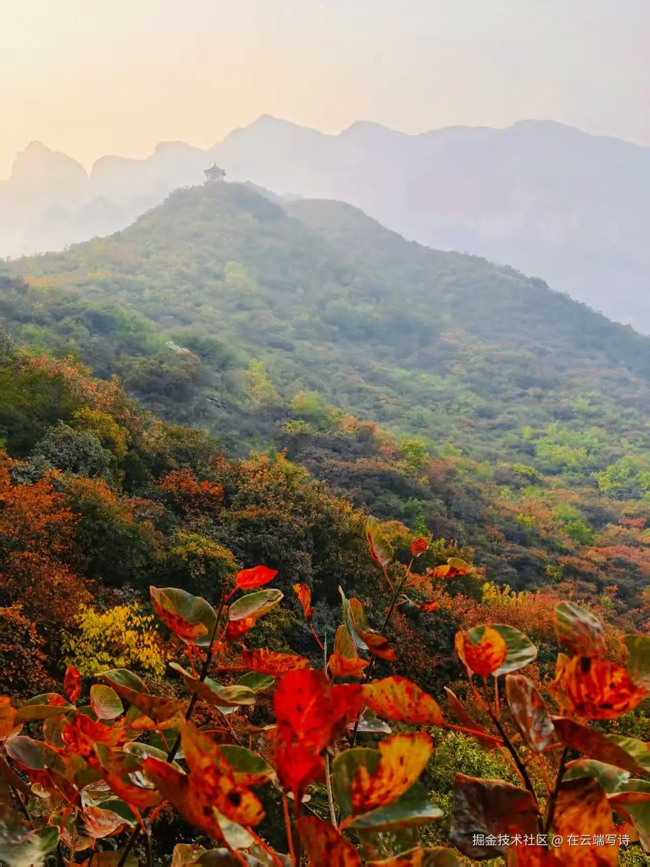 在云端写诗于2025-10-27 02:27发布的图片