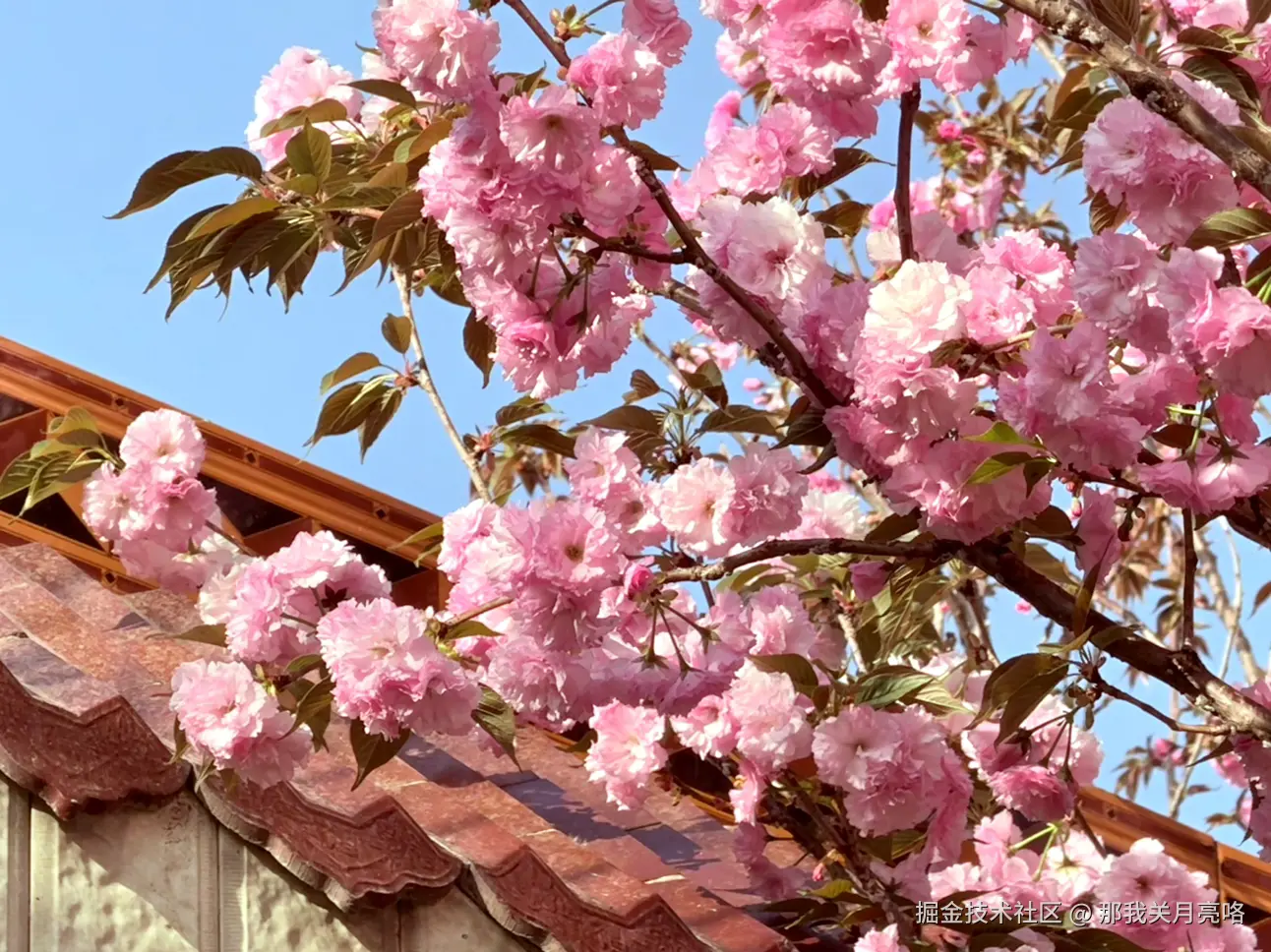 那我关月亮咯于2025-04-10 15:07发布的图片