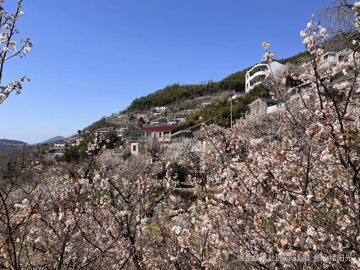 浅唱_那一缕阳光于2026-04-01 10:01发布的图片