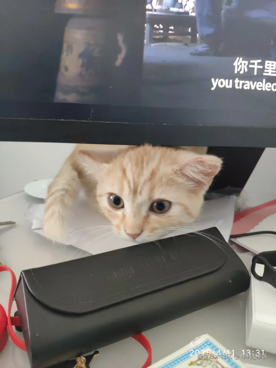 单纯_稀饭于2025-04-11 15:02发布的图片