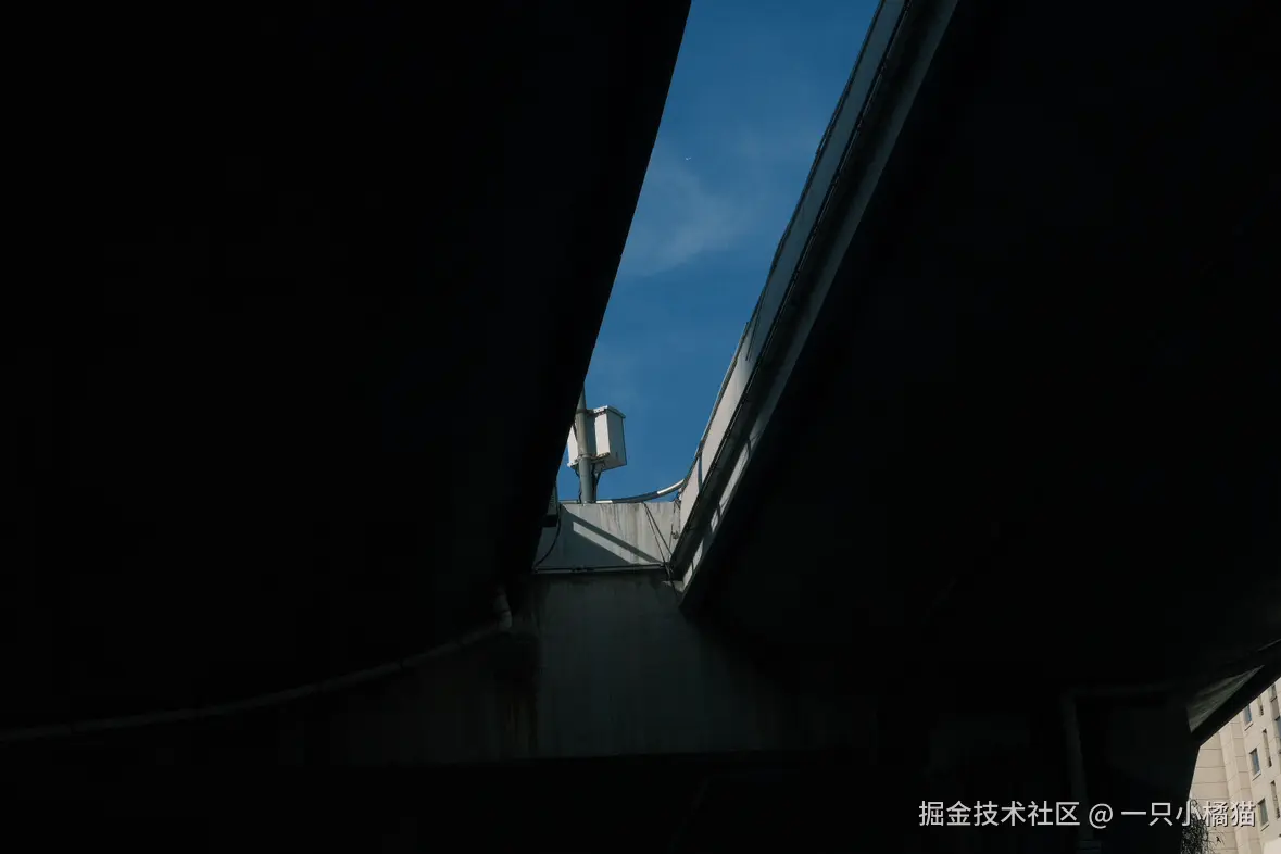 一只小橘猫于2025-07-21 00:45发布的图片