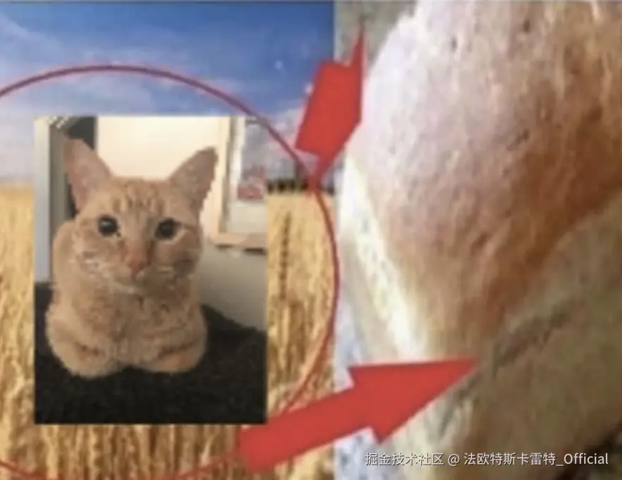 法欧特斯卡雷特_Official于2024-11-22 10:09发布的图片