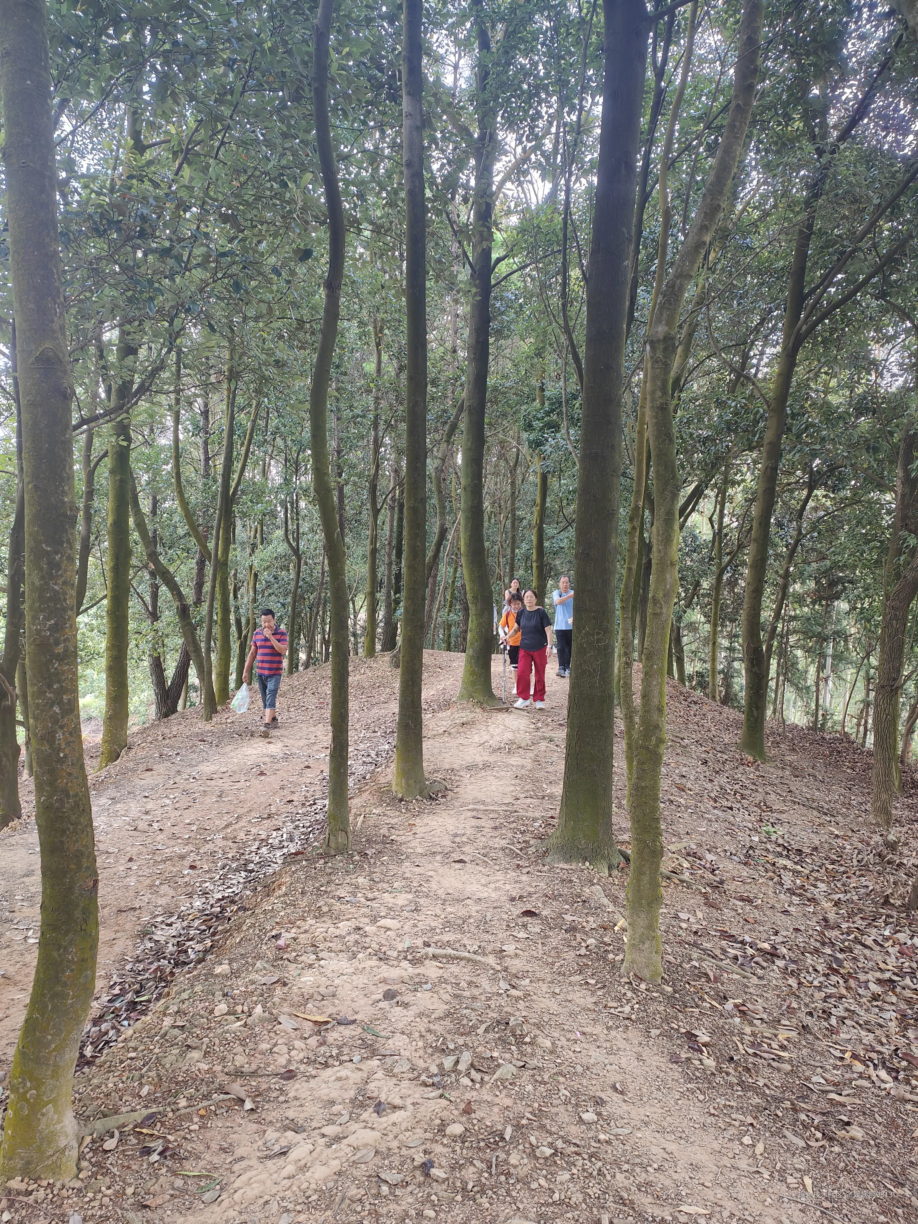 媛媛啊9813于2025-09-13 19:26发布的图片