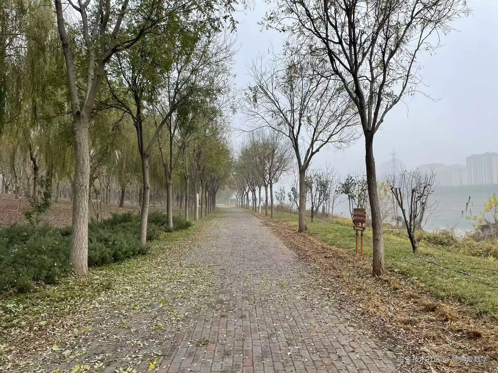 帅帅爱数学于2024-11-15 05:21发布的图片