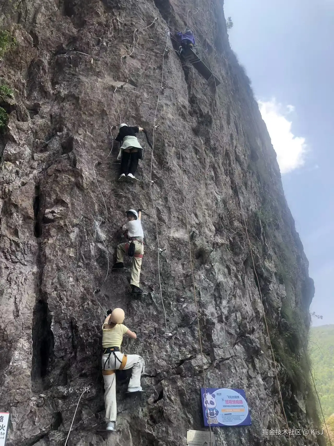 KisJ于2025-04-25 15:32发布的图片