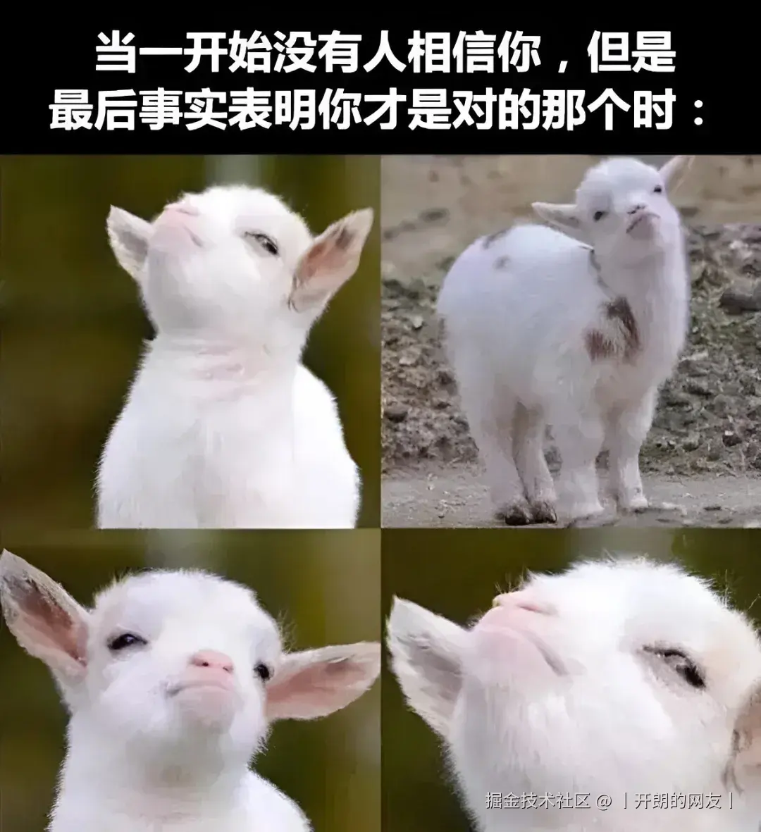 丨开朗的网友丨于2025-05-12 09:43发布的图片