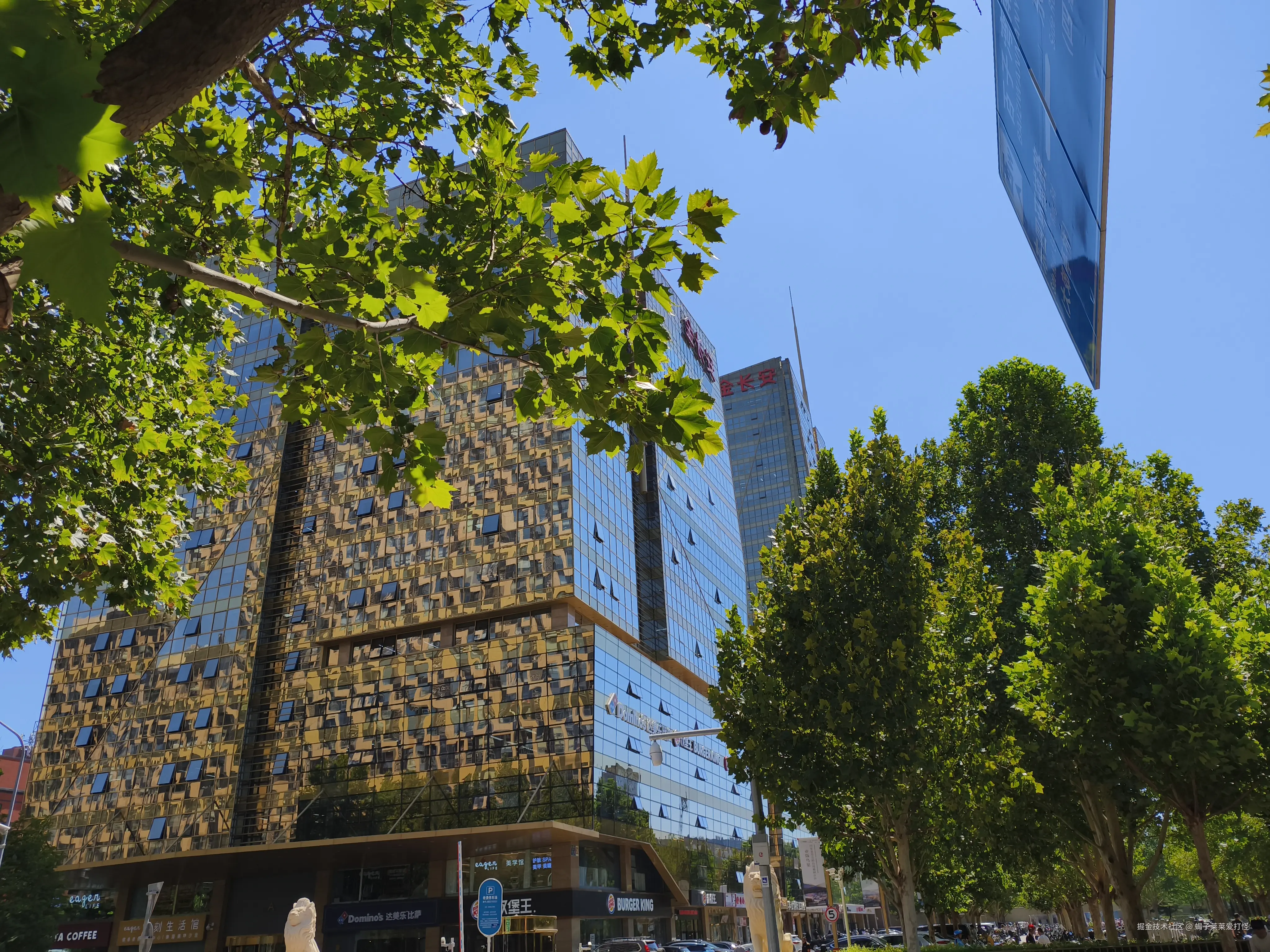 蝎子莱莱爱打怪于2024-08-27 18:41发布的图片