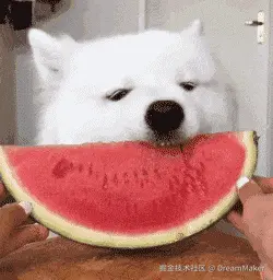 DreamMaker于2024-12-26 13:33发布的图片