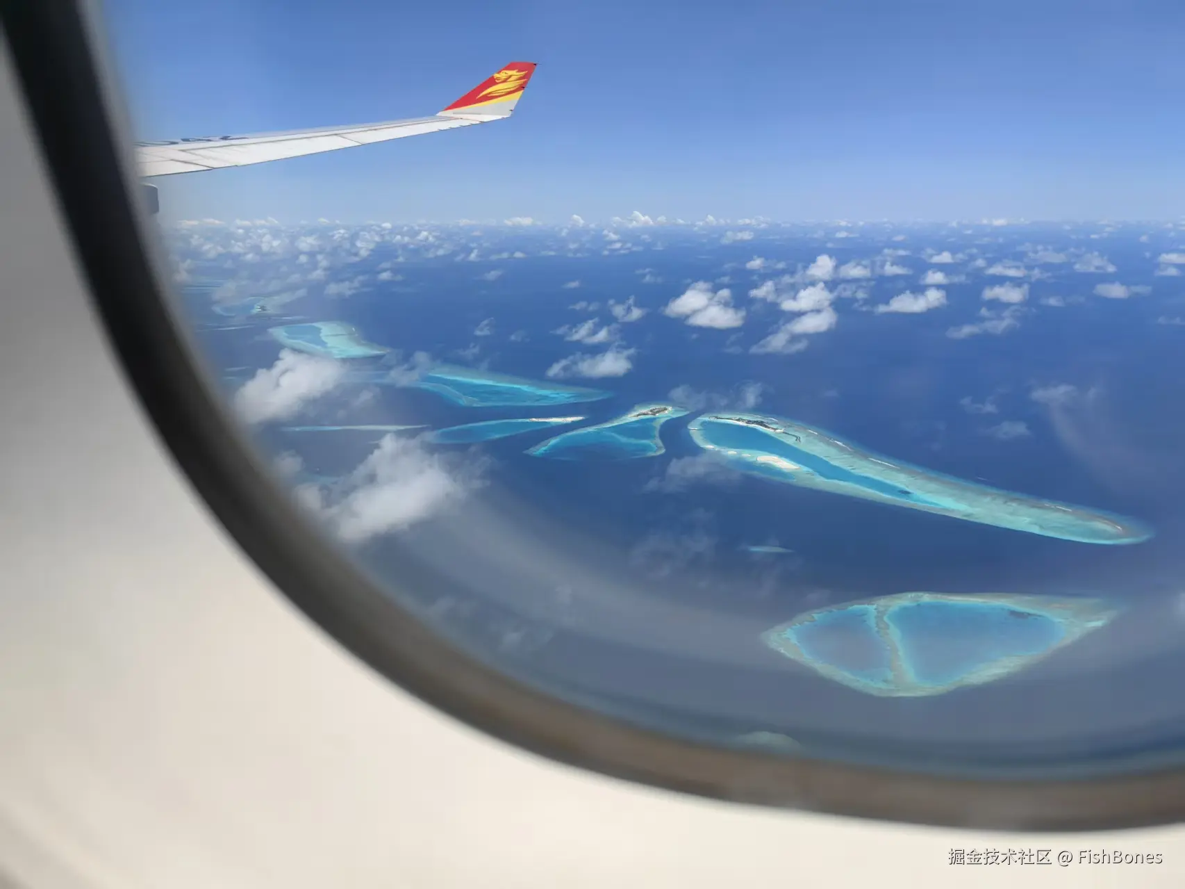 FishBones于2025-10-09 07:46发布的图片