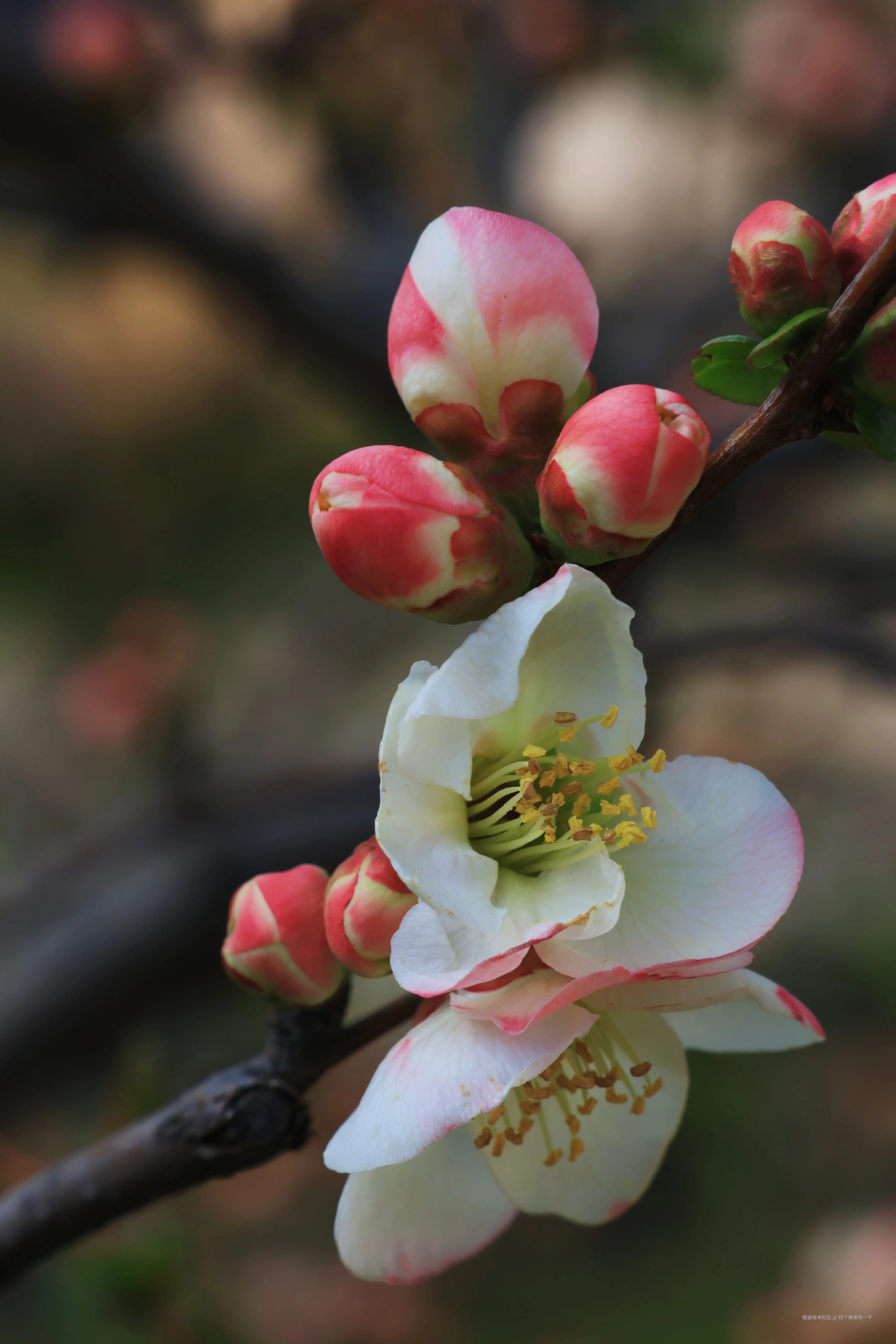 找个角落哭一下于2026-03-23 09:30发布的图片