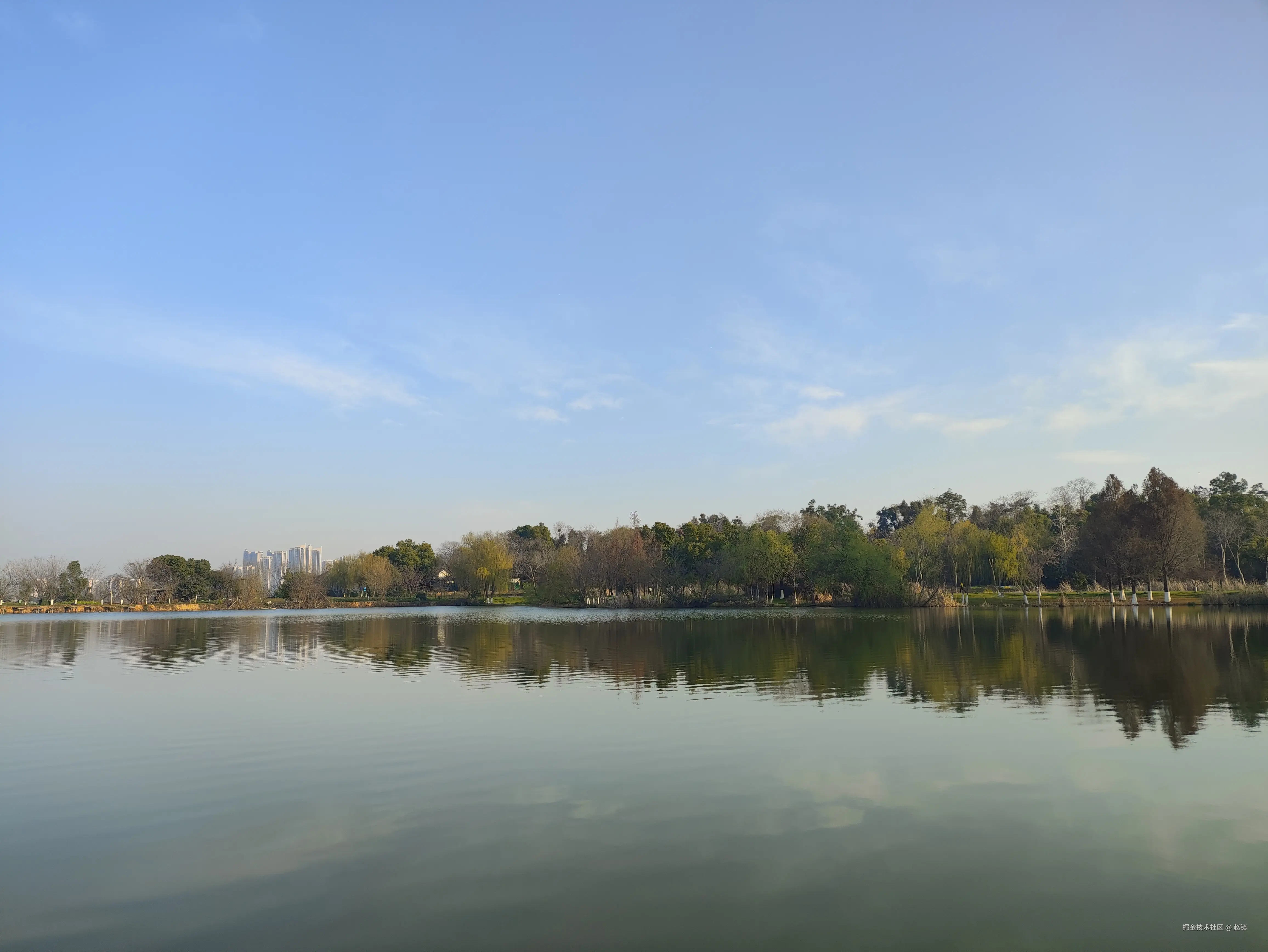 赵镇于2025-03-18 18:46发布的图片