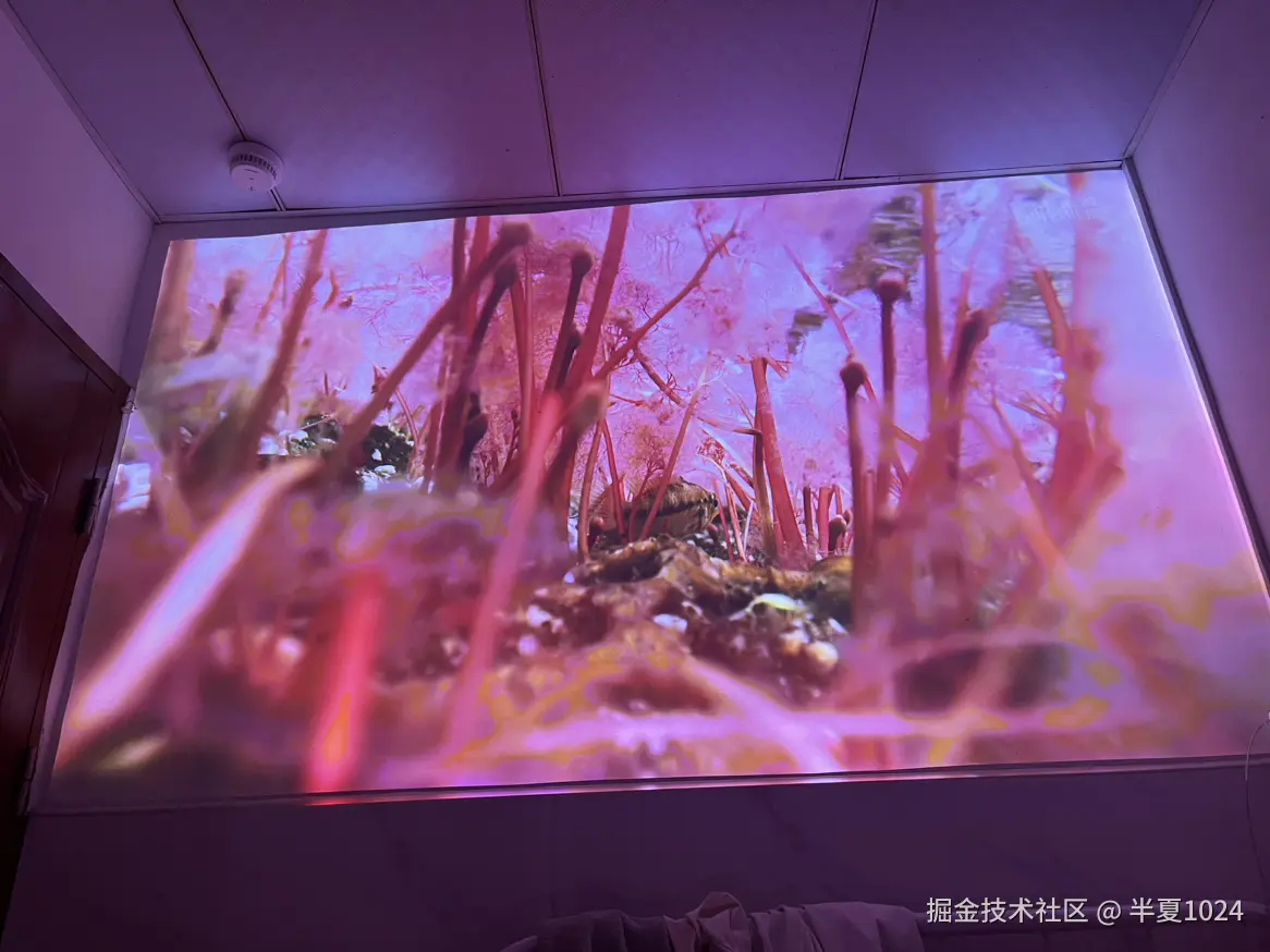 半夏1024于2025-06-13 02:21发布的图片