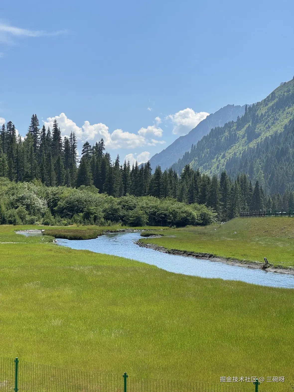 三碗呀于2025-08-04 10:26发布的图片