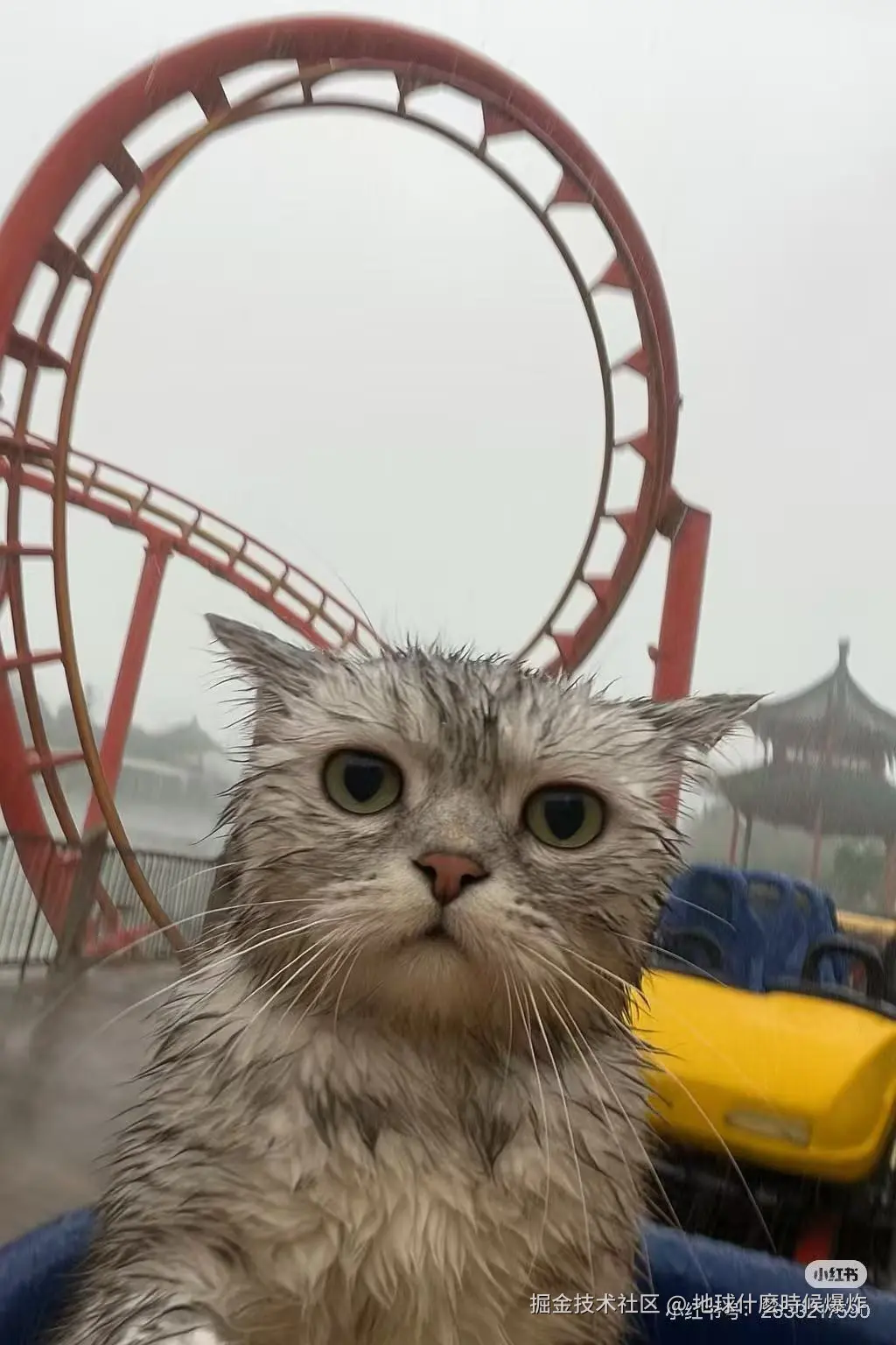 地球什麽時候爆炸于2025-05-19 06:24发布的图片