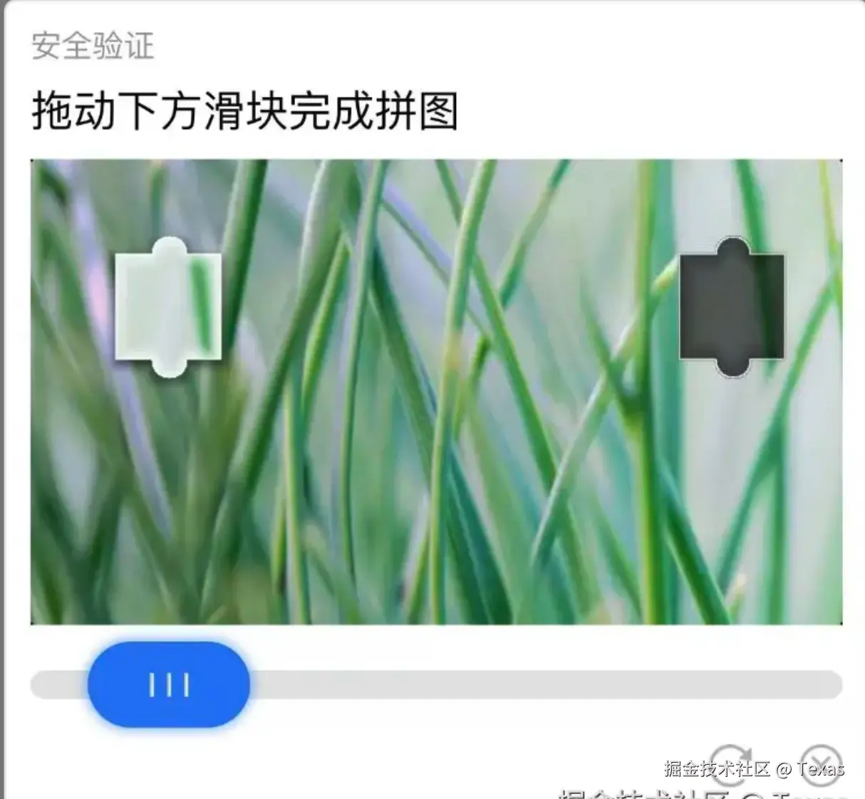 Texas于2024-11-04 14:04发布的图片