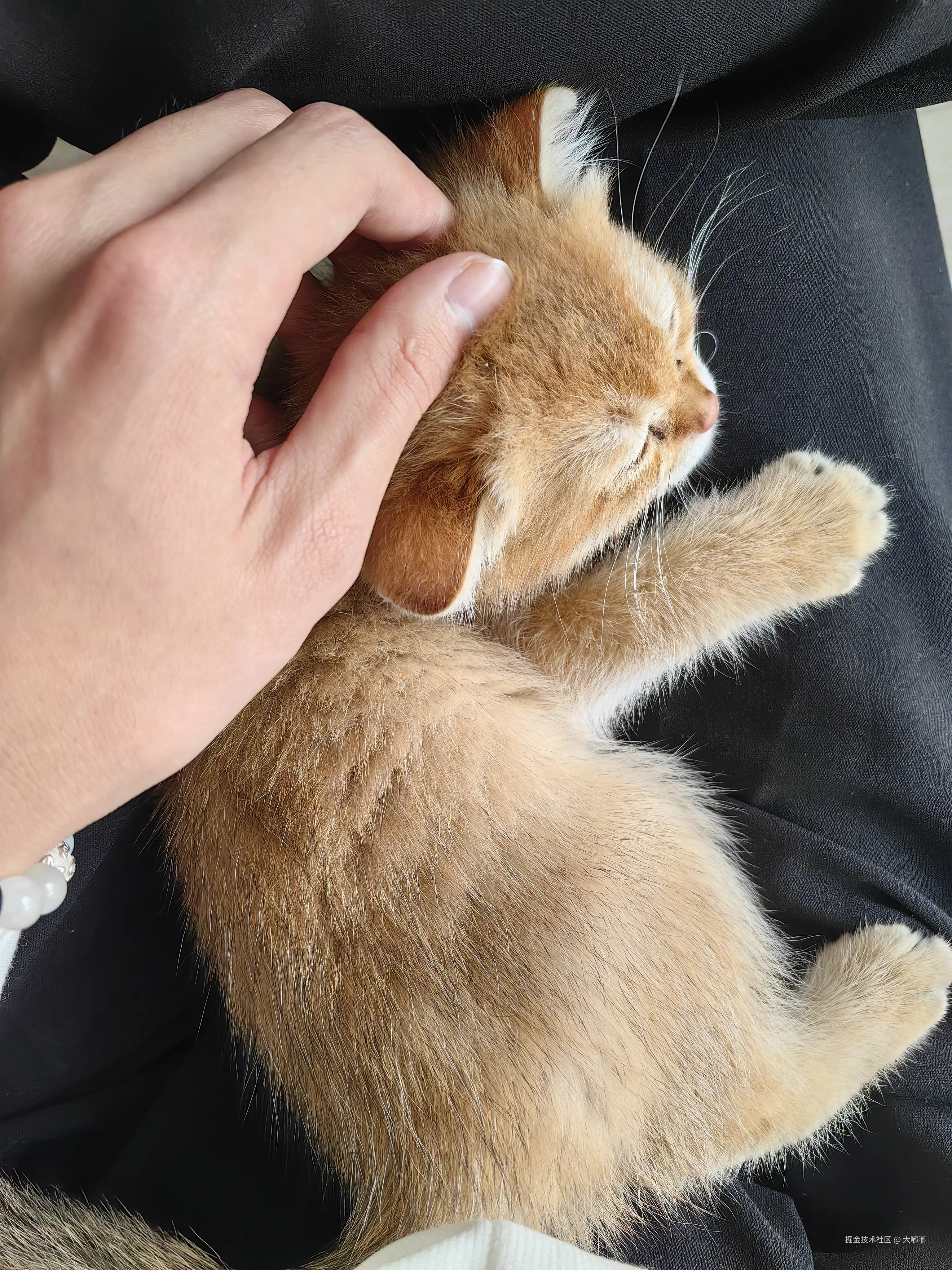 大嘟嘟于2025-11-24 14:54发布的图片