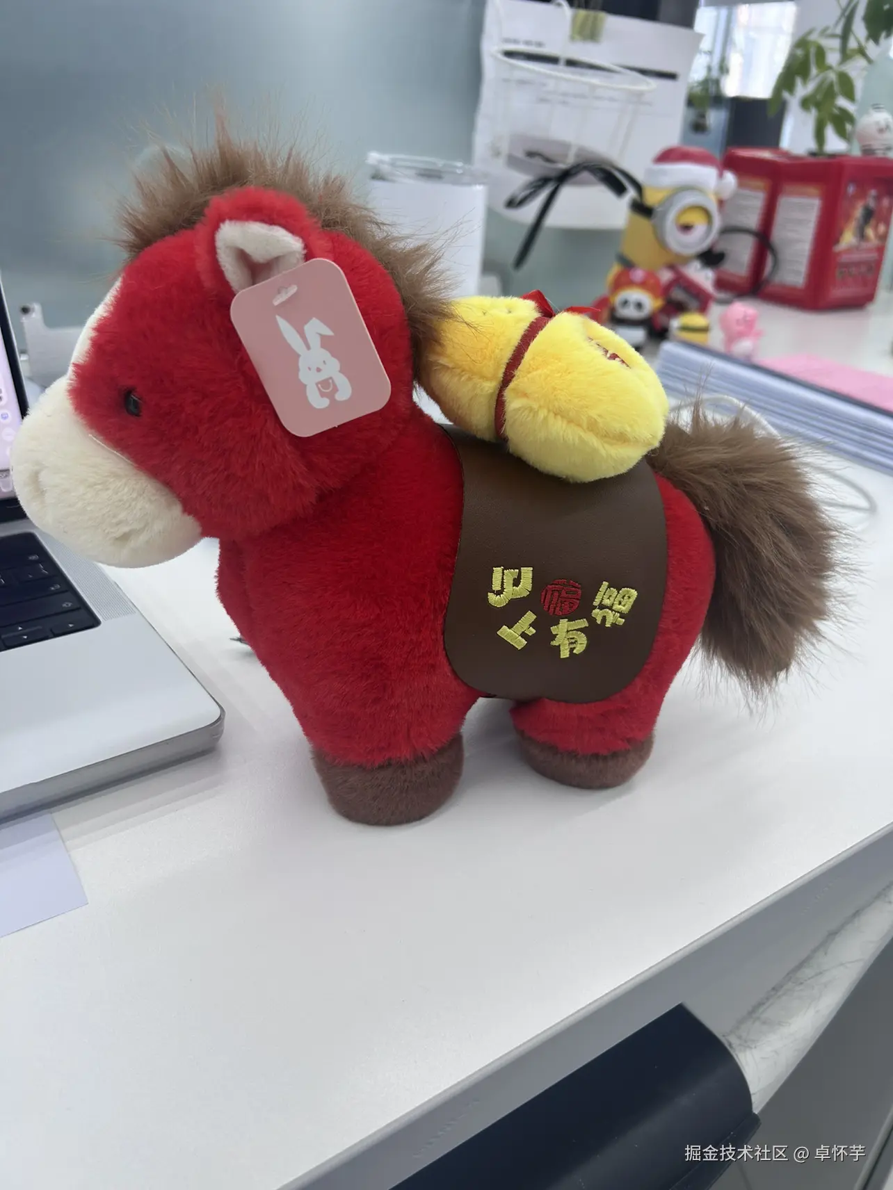 卓怀芋于2026-02-13 15:21发布的图片