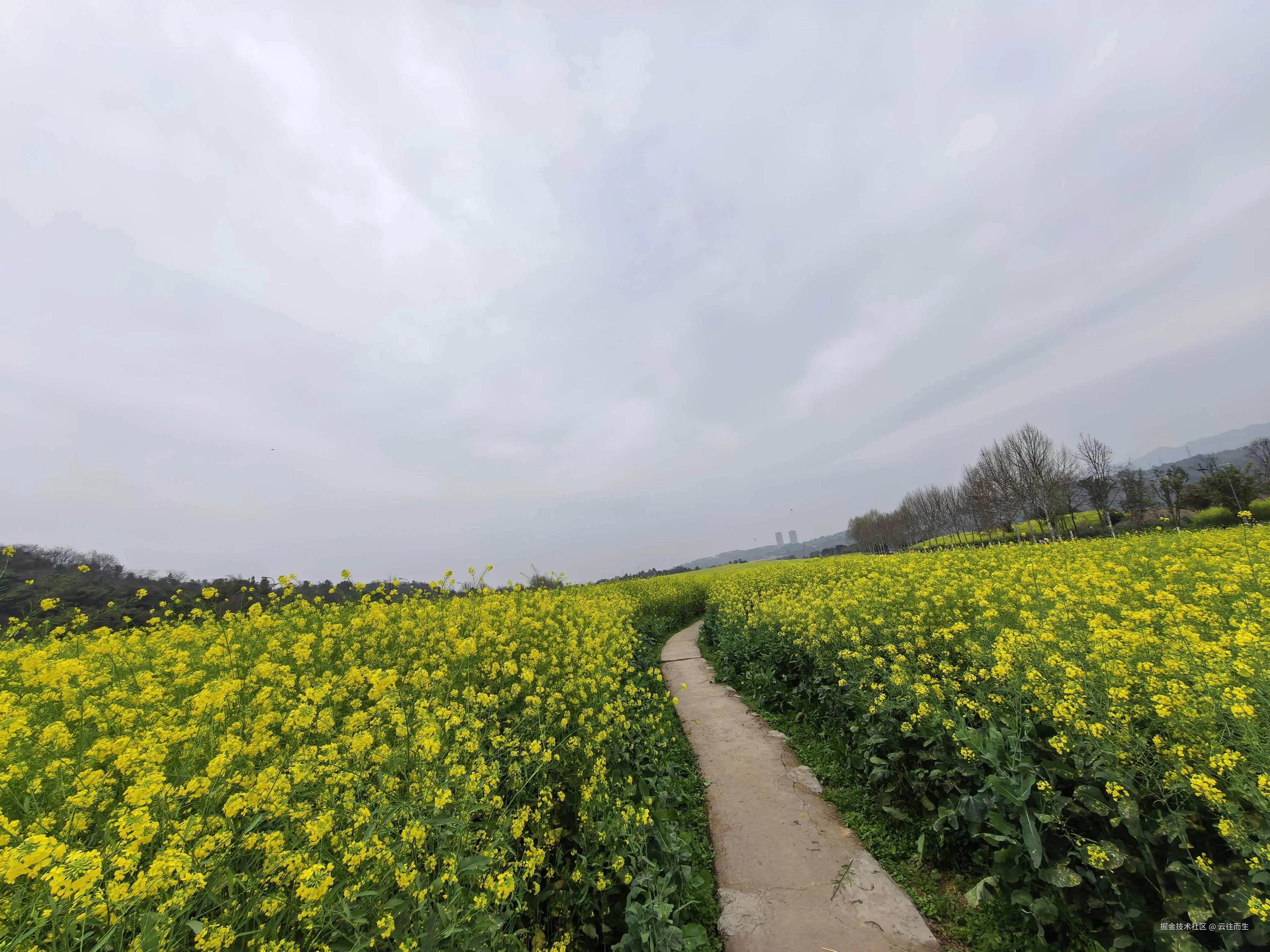 云往而生于2026-03-09 15:29发布的图片