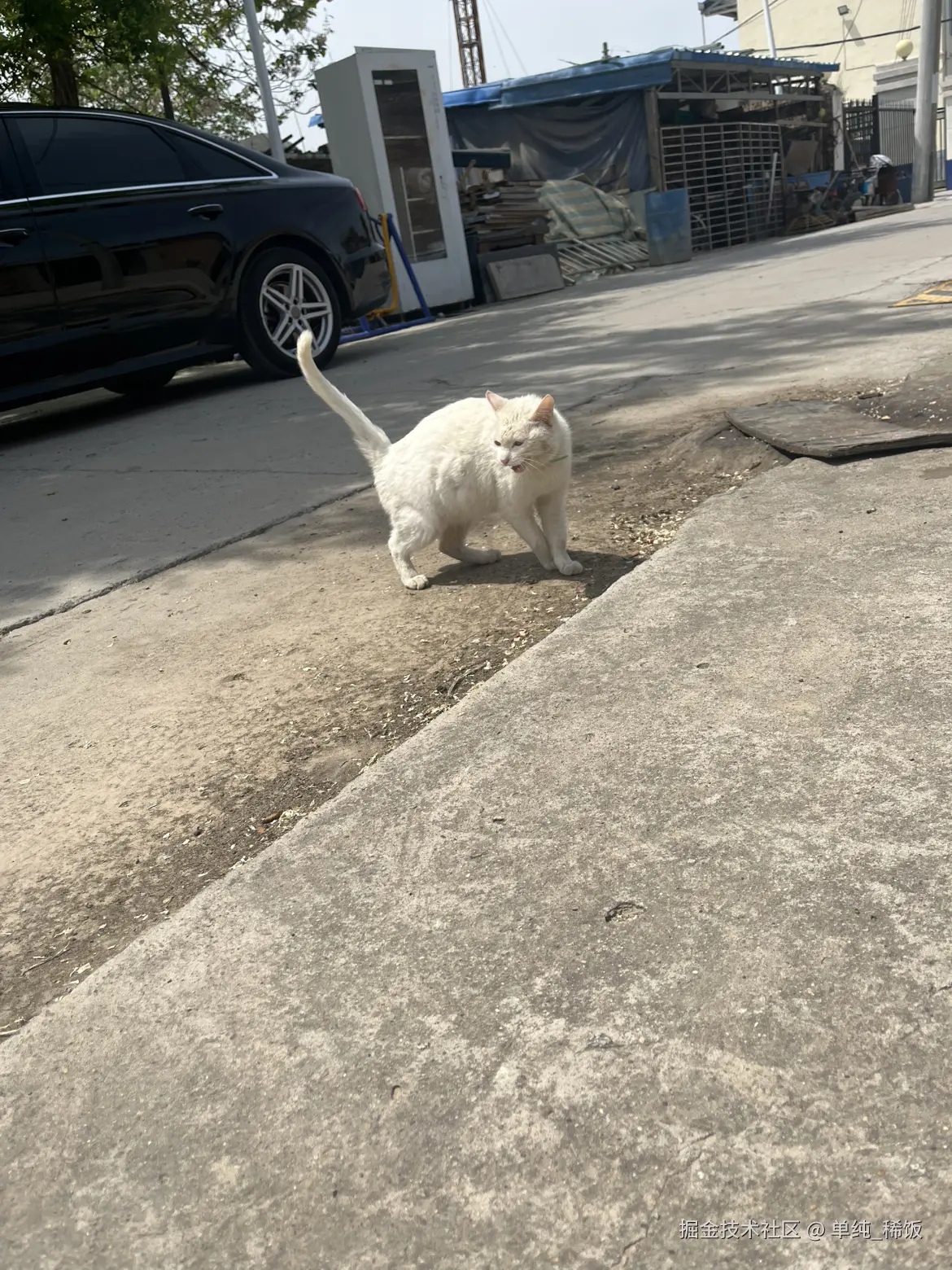 单纯_稀饭于2025-04-25 12:03发布的图片