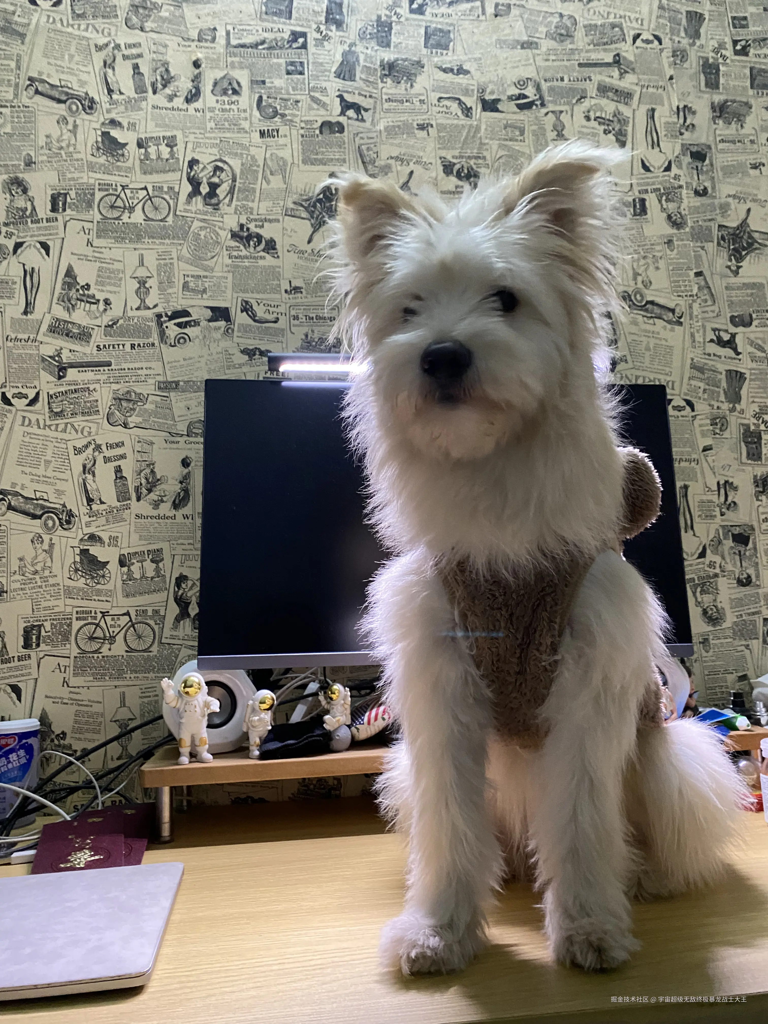 宇宙超级无敌终极暴龙战士大王于2025-02-10 16:39发布的图片