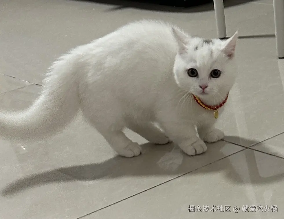 就爱吃火锅于2025-04-15 09:51发布的图片