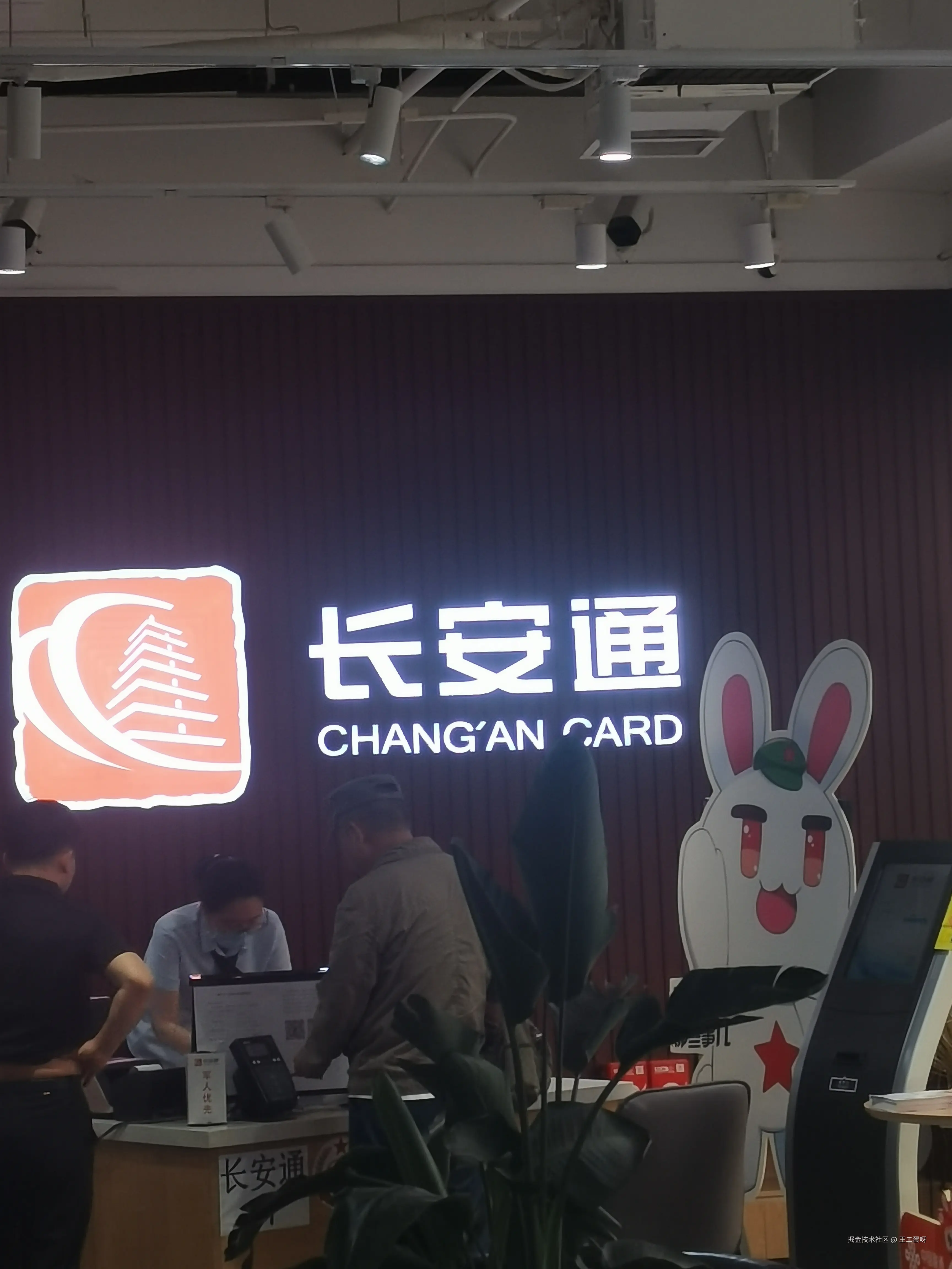 王二蛋呀于2025-05-30 12:57发布的图片