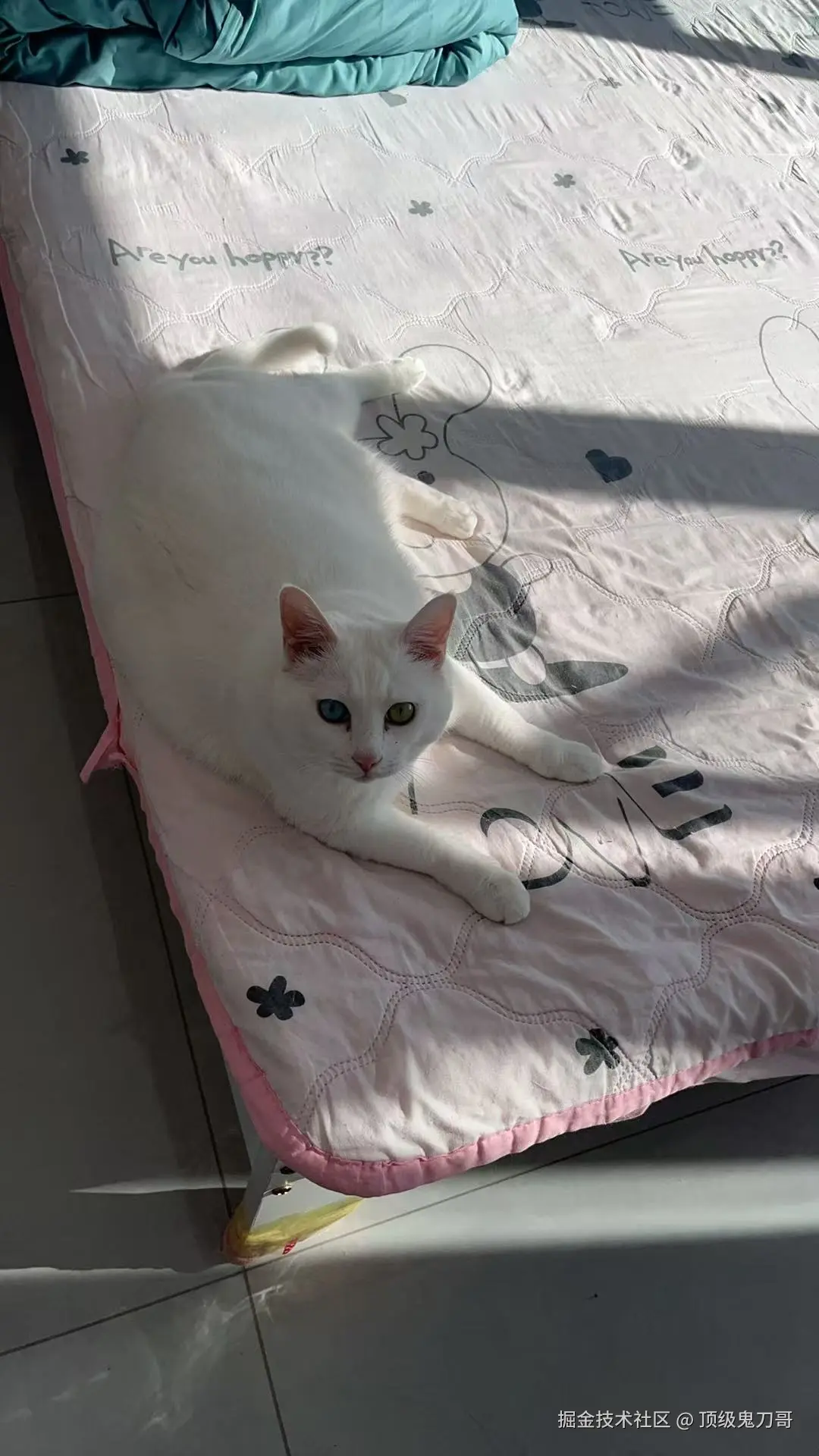 顶级鬼刀哥于2025-11-07 16:03发布的图片