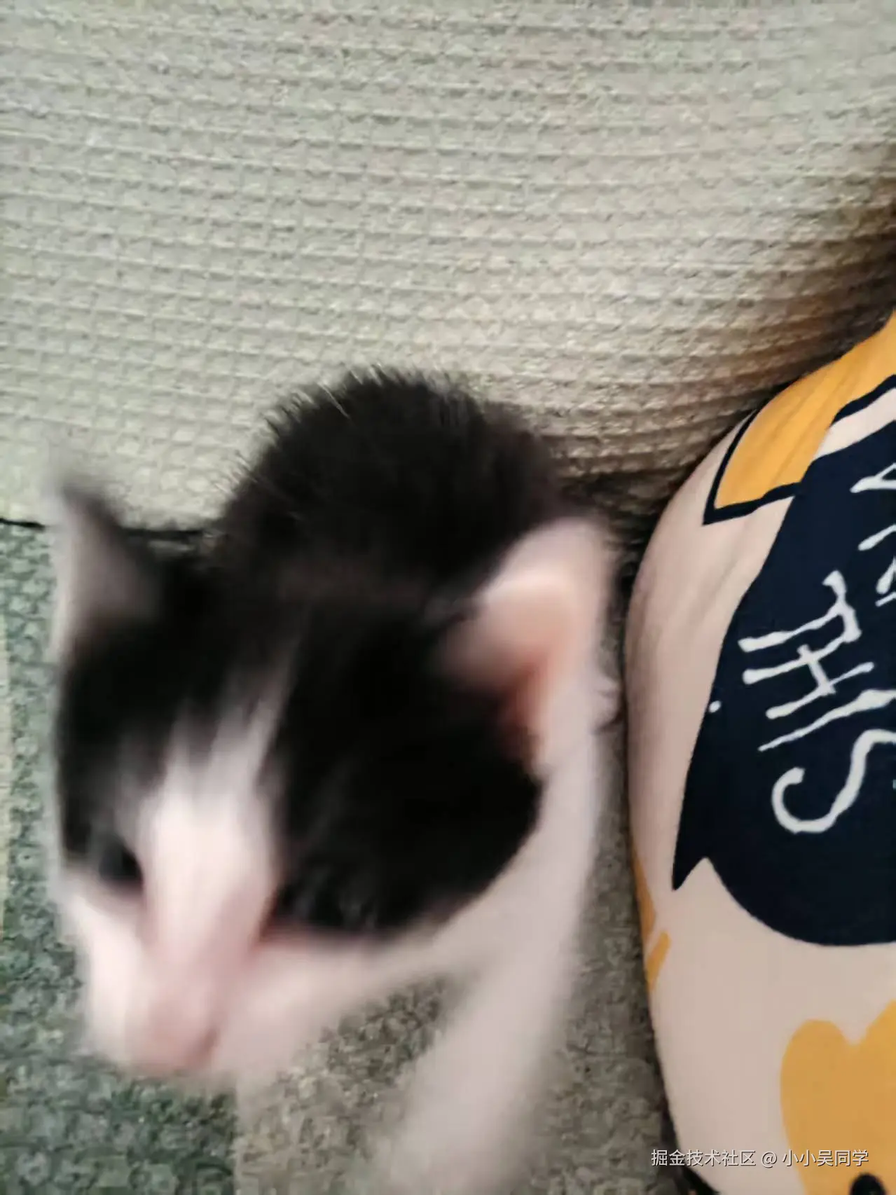 小小吴同学于2025-04-28 09:09发布的图片