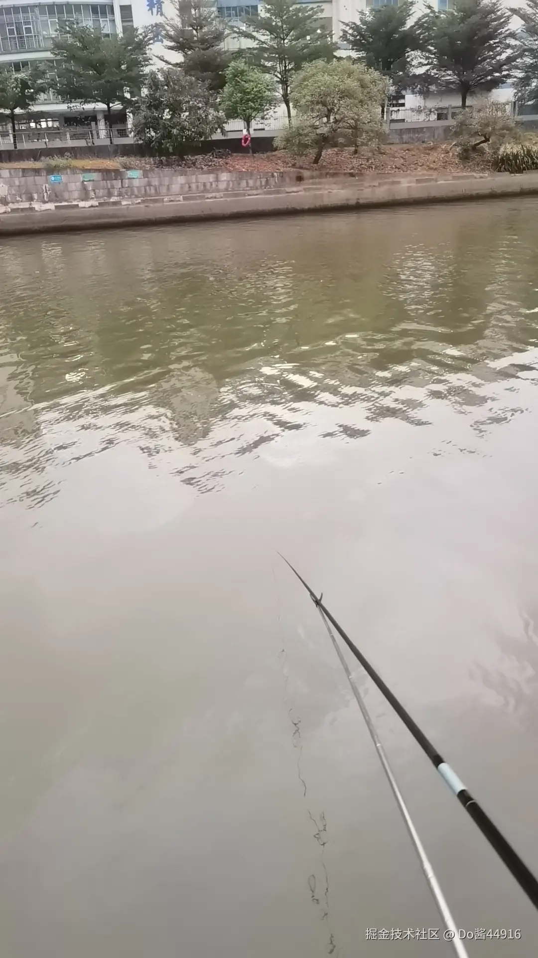 Do酱44916于2024-11-19 16:14发布的图片