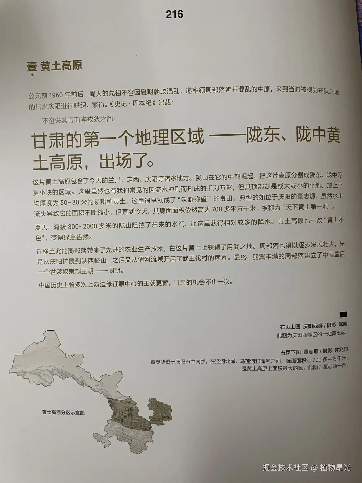 植物昂光于2026-03-24 20:49发布的图片