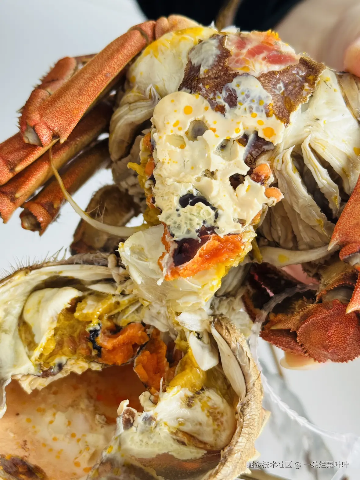 一朵烂菜叶叶于2025-11-06 13:07发布的图片