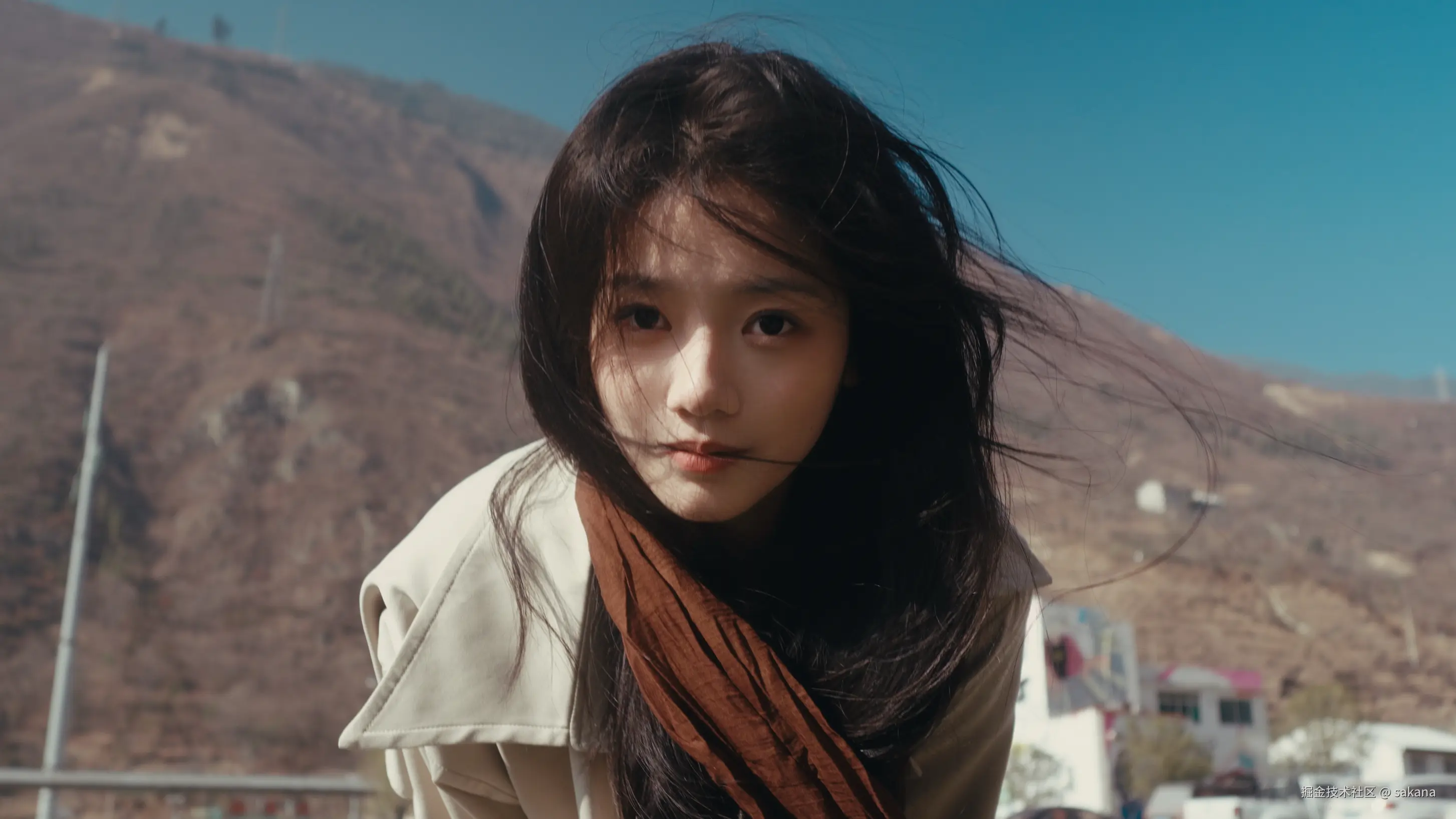 sakana于2026-01-02 11:33发布的图片