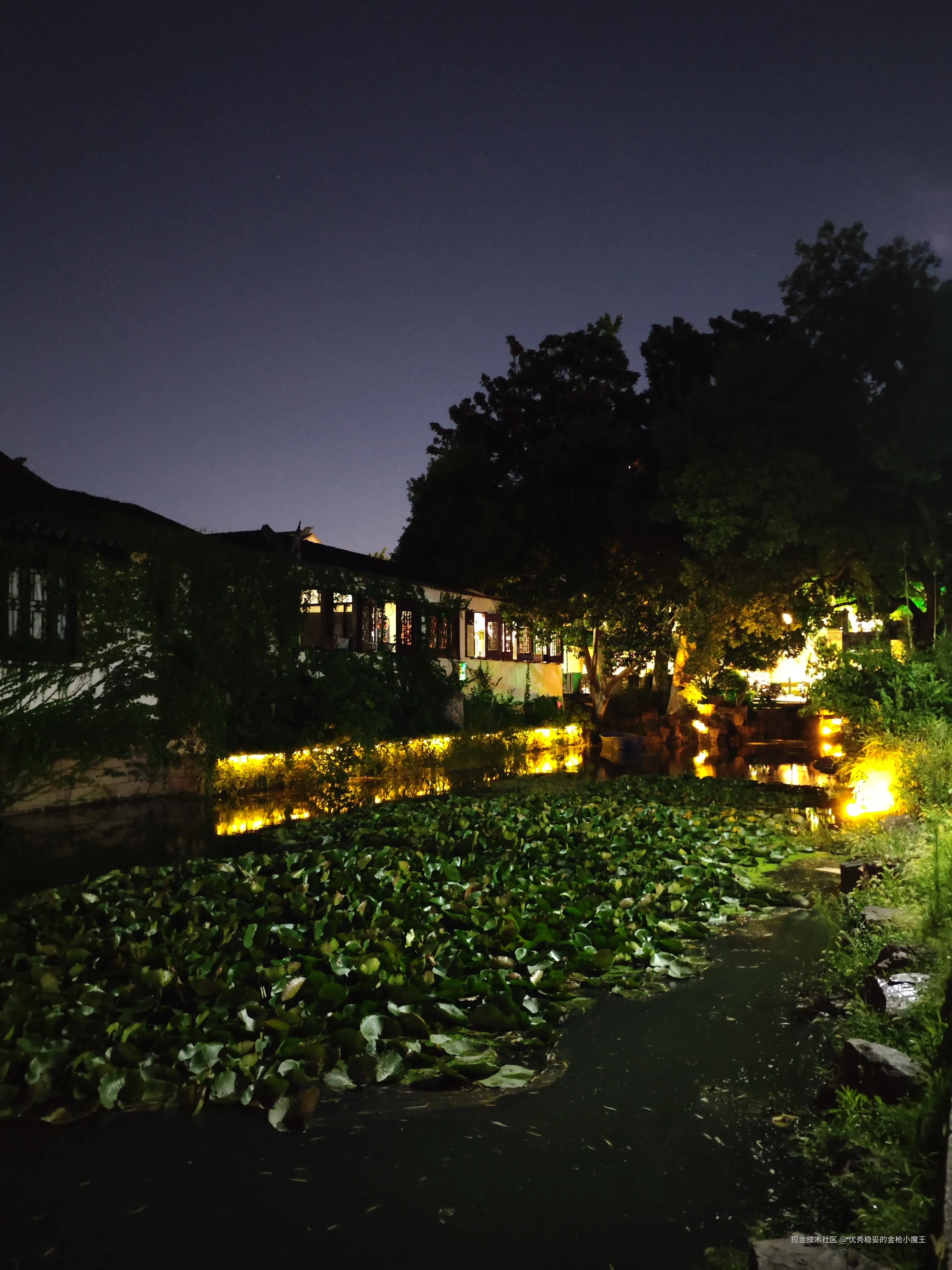 优秀稳妥的金枪小魔王于2025-09-02 14:01发布的图片