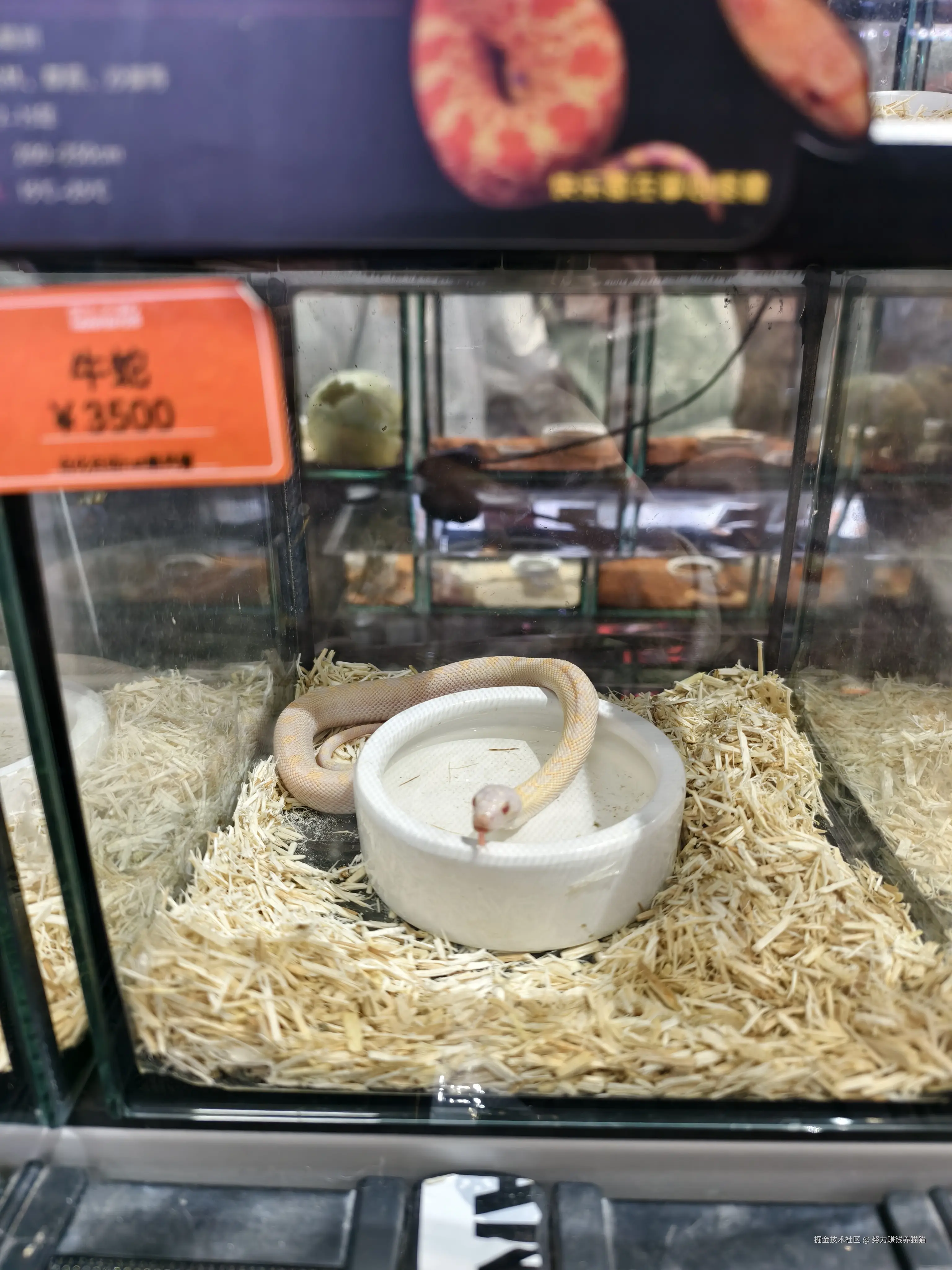 努力赚钱养猫猫于2024-12-30 09:39发布的图片