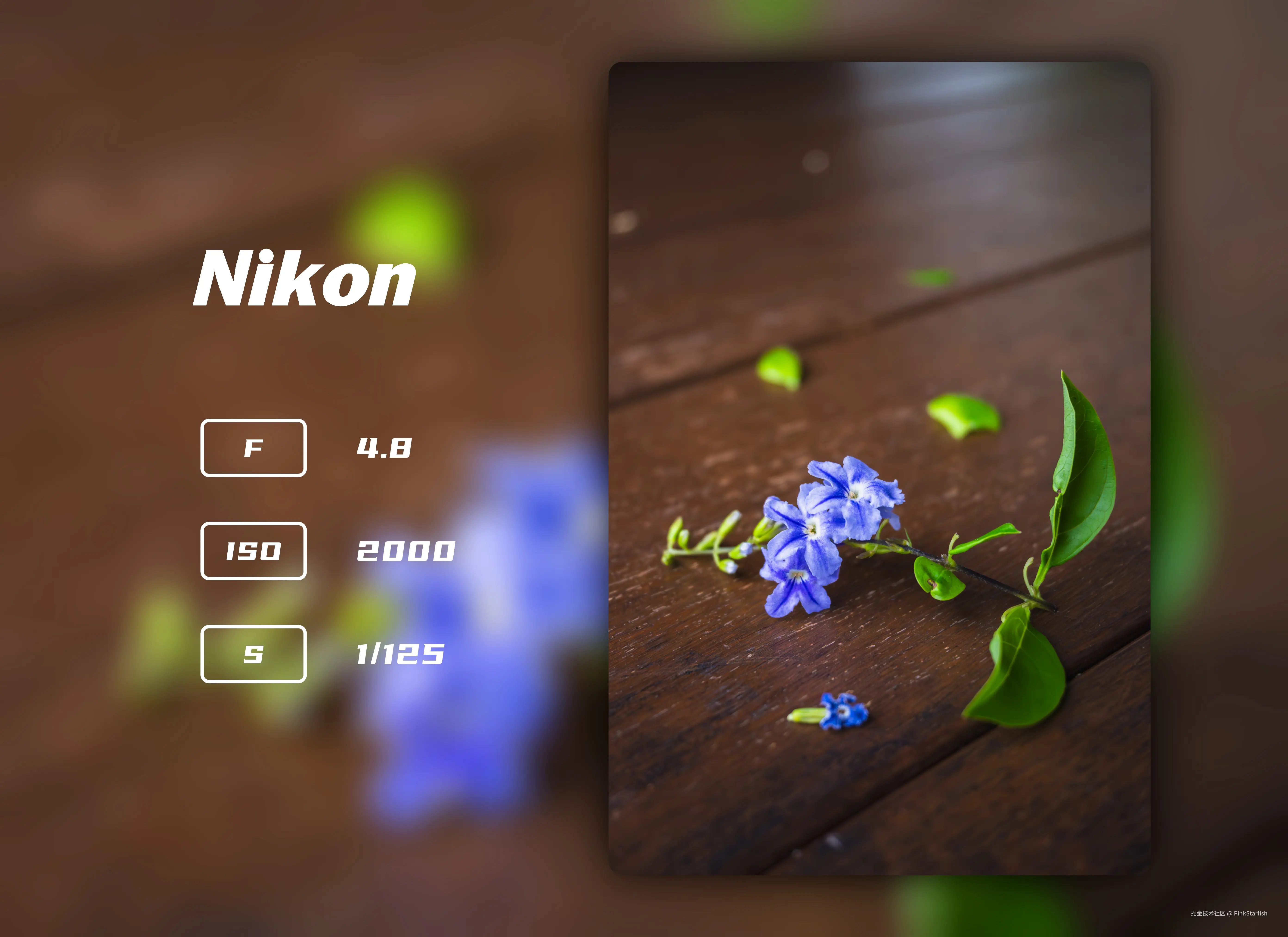 PinkStarfish于2025-05-29 00:57发布的图片