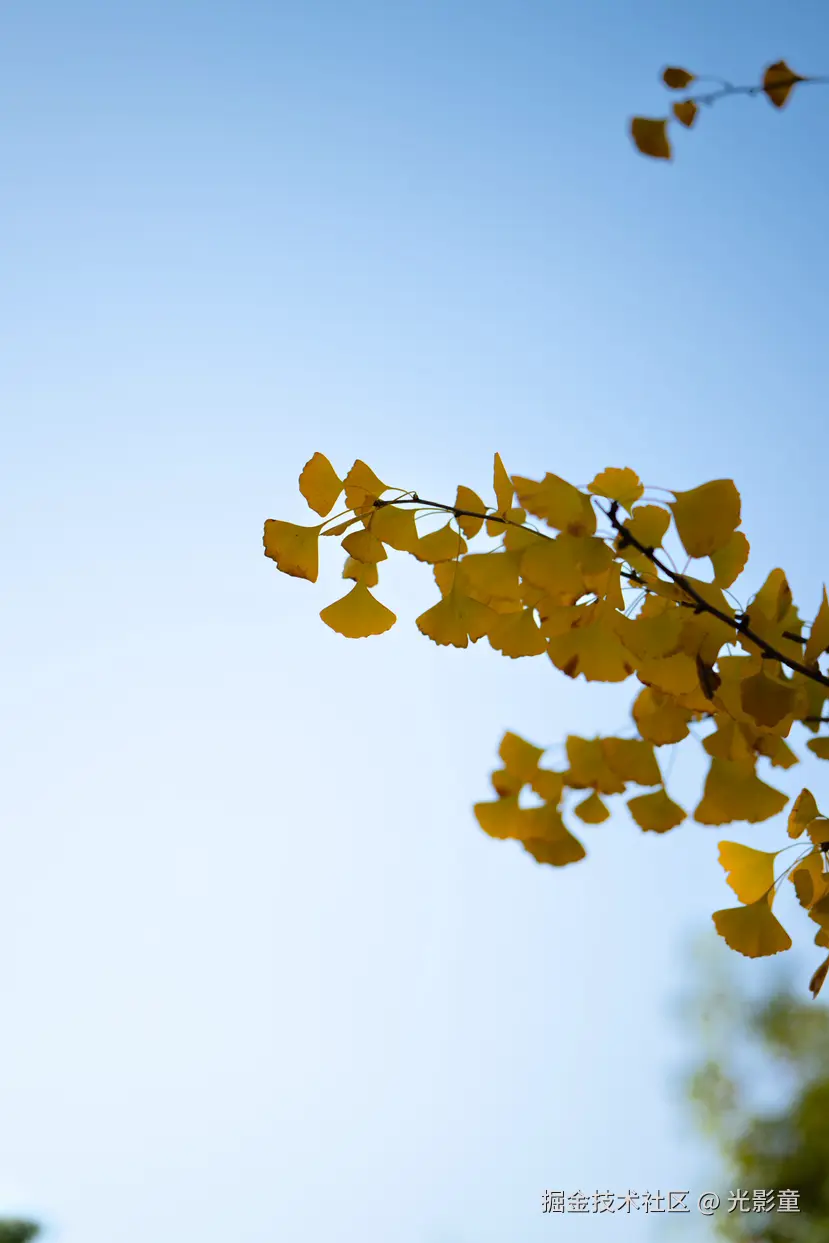 光影童于2025-11-28 10:03发布的图片