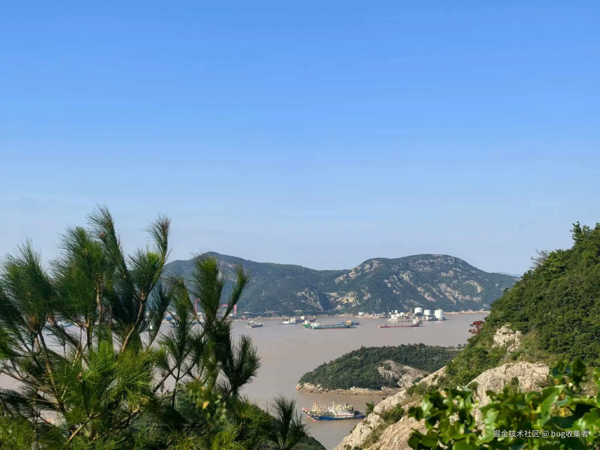 bug收集者于2025-10-27 09:53发布的图片