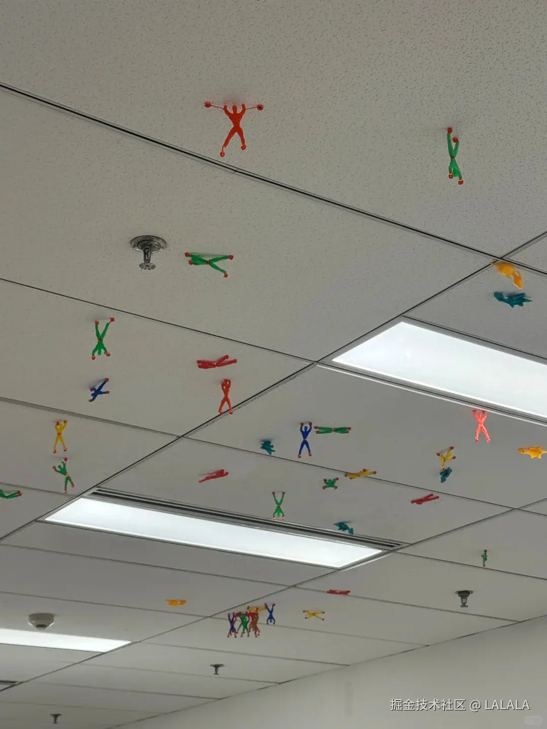 LALALA于2026-03-04 16:01发布的图片