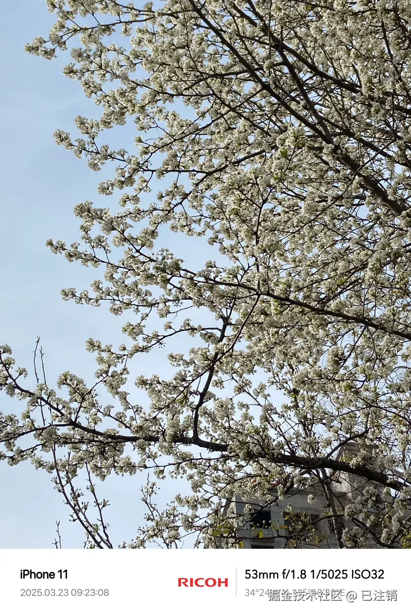 已注销于2025-03-23 23:13发布的图片