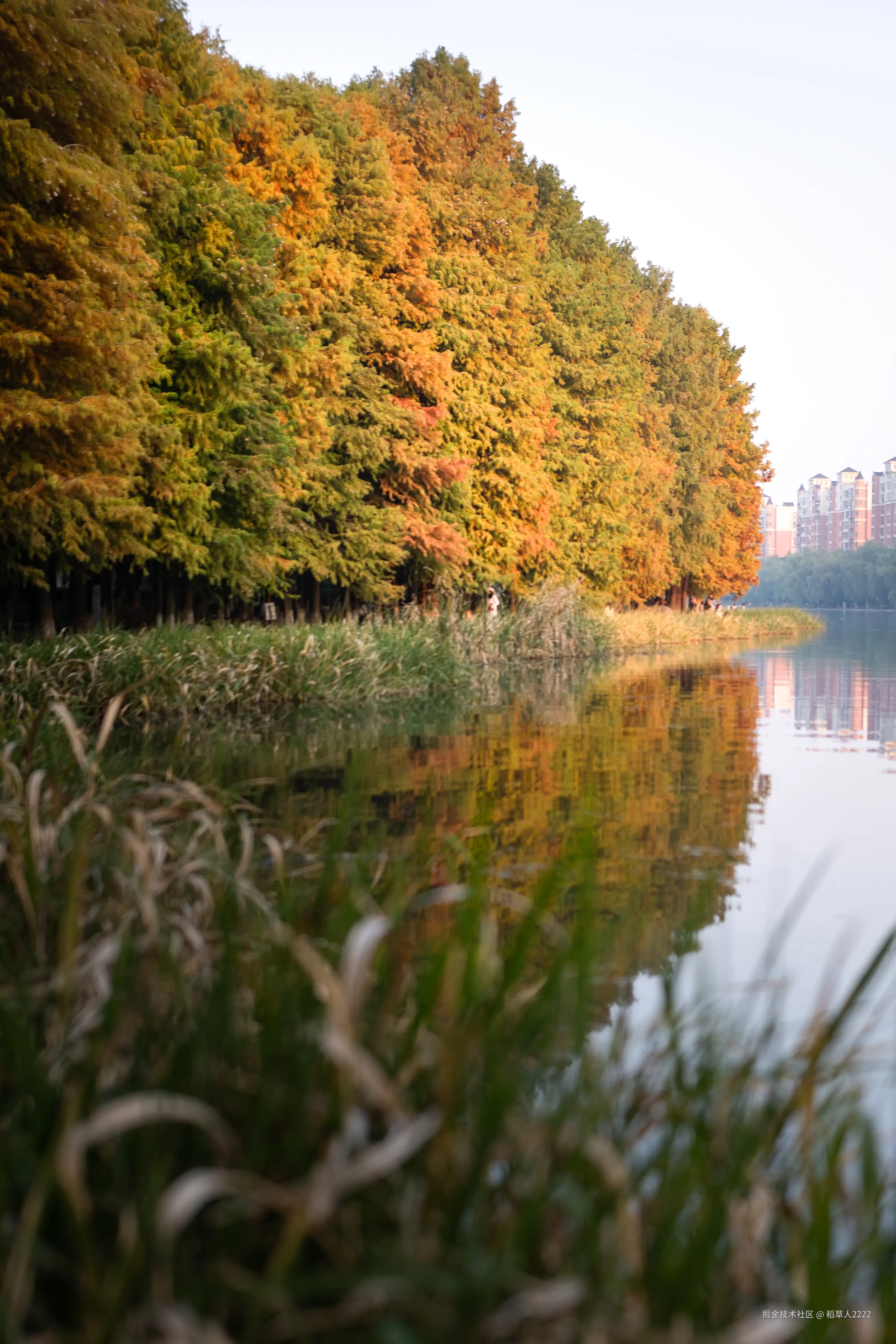 稻草人2222于2025-11-24 10:33发布的图片