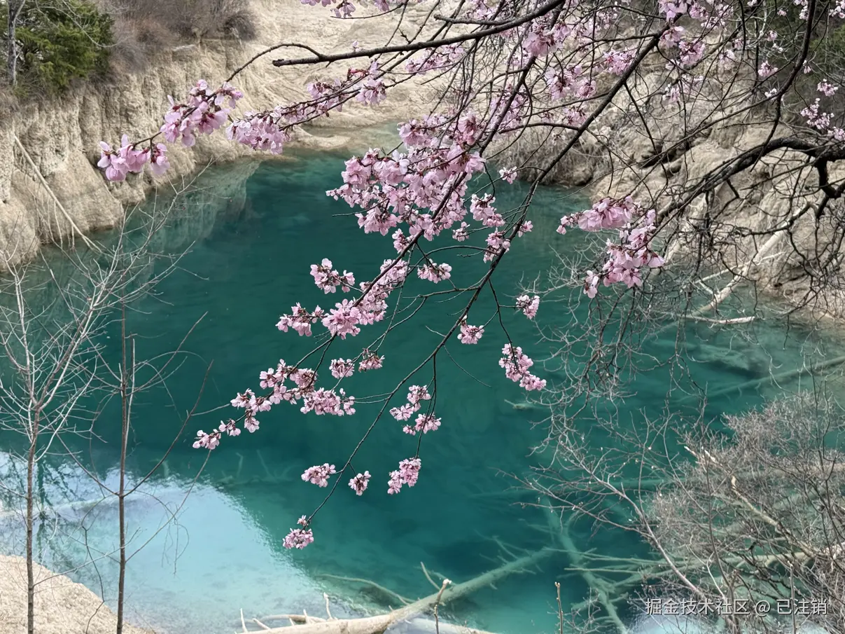 已注销于2025-04-07 04:36发布的图片