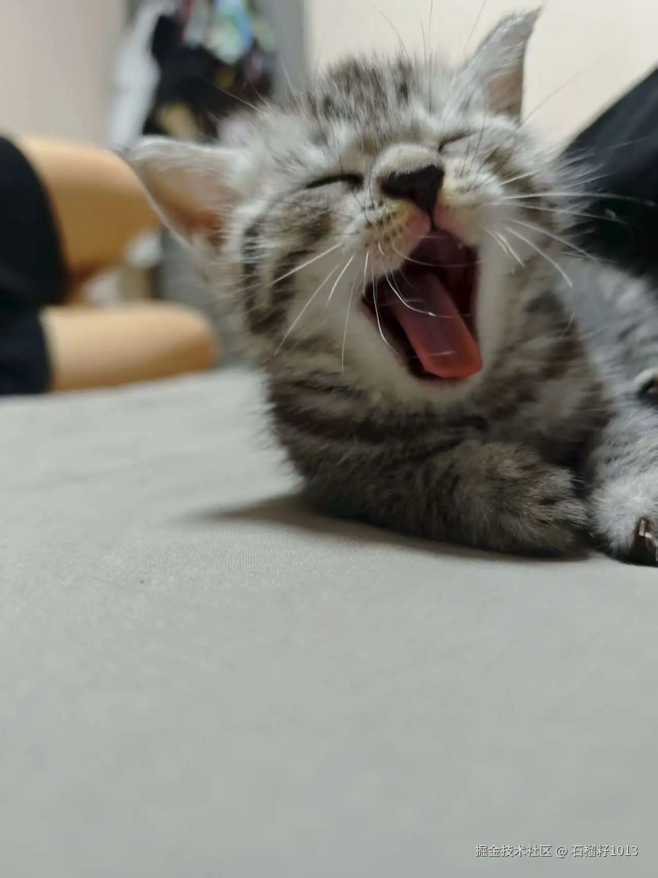 石榴籽1013于2025-08-25 08:58发布的图片