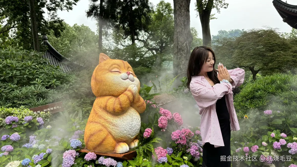 红烧毛豆于2025-05-25 16:10发布的图片