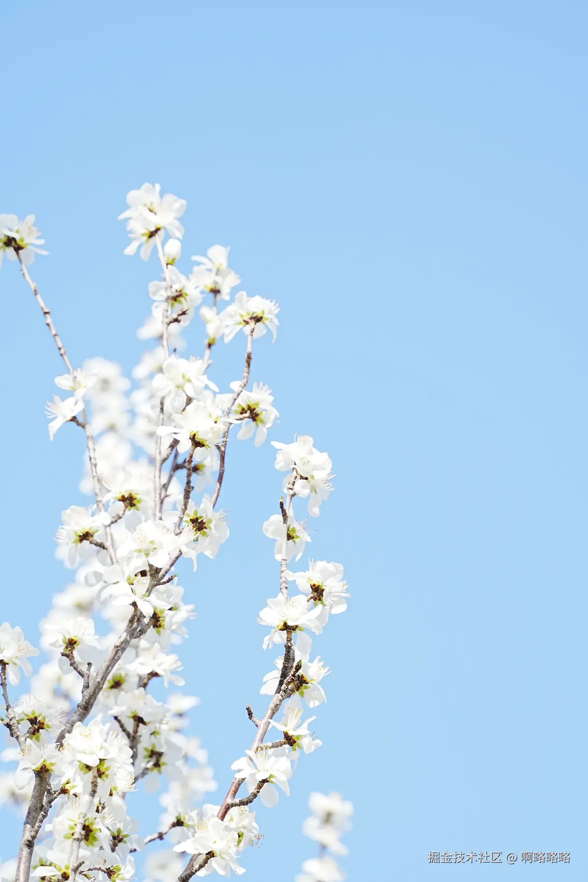 啊略略略于2025-03-17 10:14发布的图片