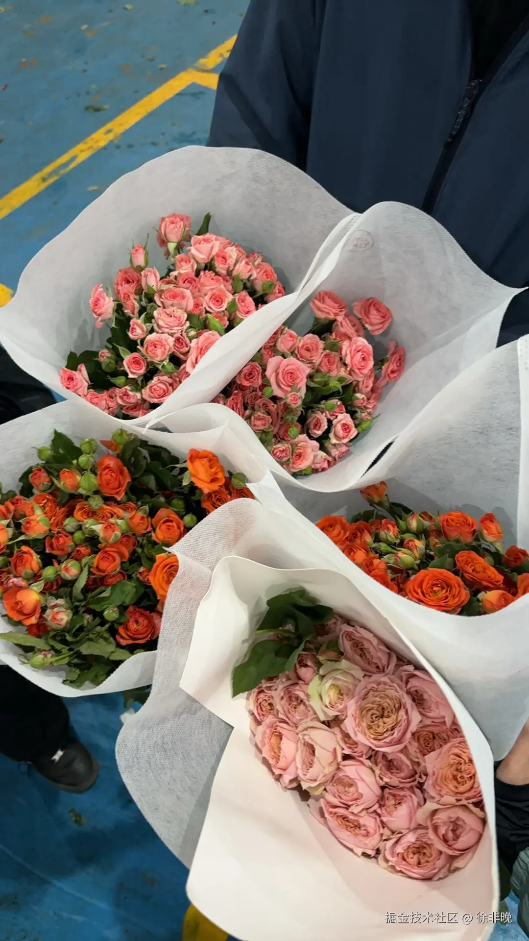 徐非晚于2024-08-26 22:49发布的图片