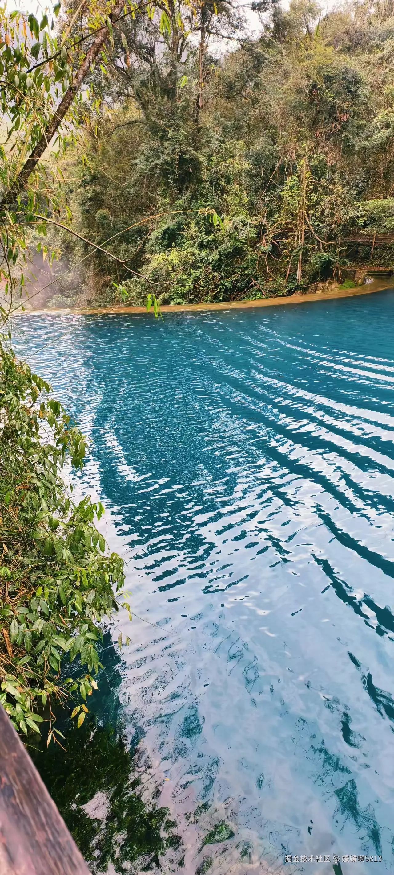 媛媛啊9813于2026-01-03 23:20发布的图片