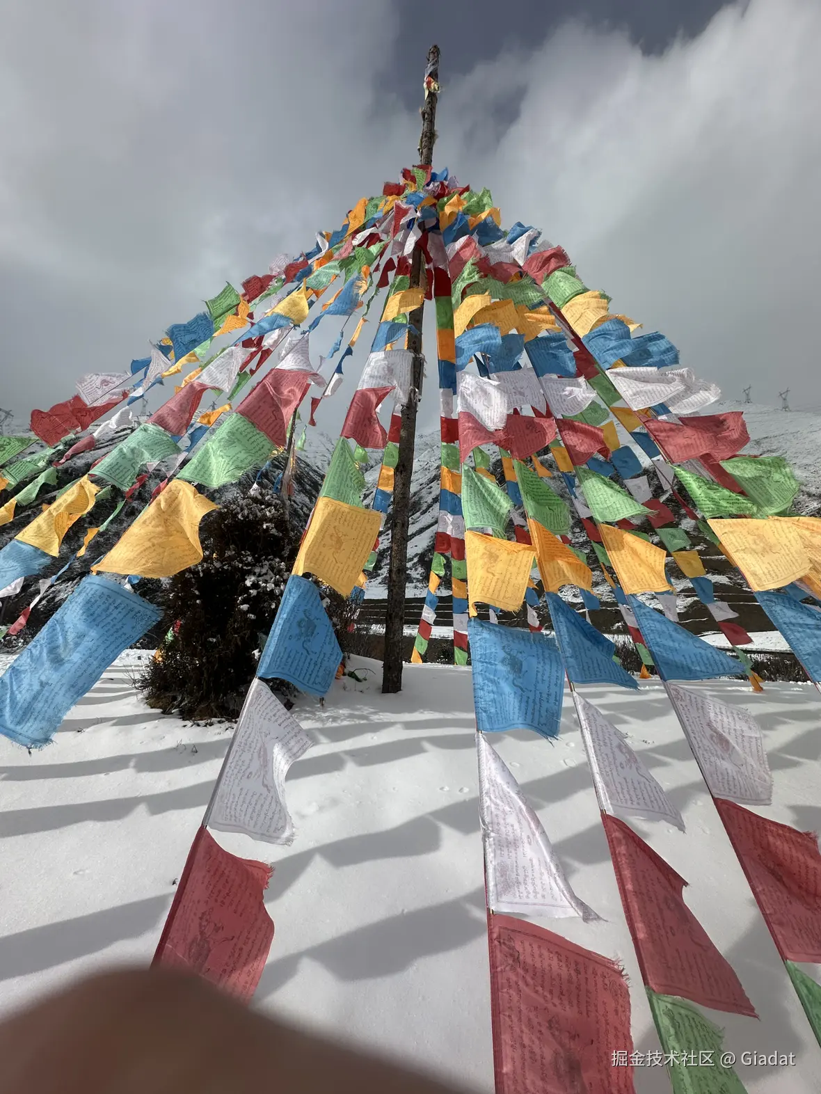 Giadat于2024-12-02 10:48发布的图片