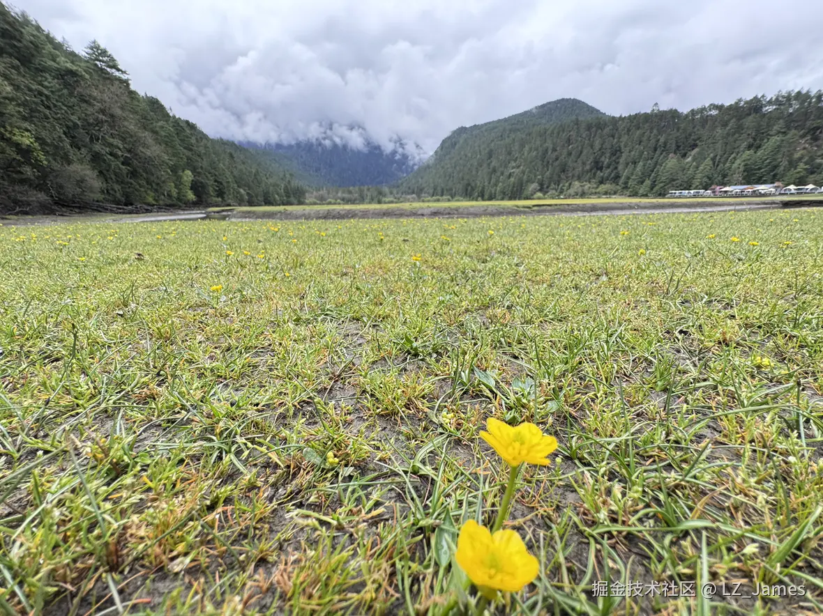 LZ_James于2025-05-06 10:29发布的图片